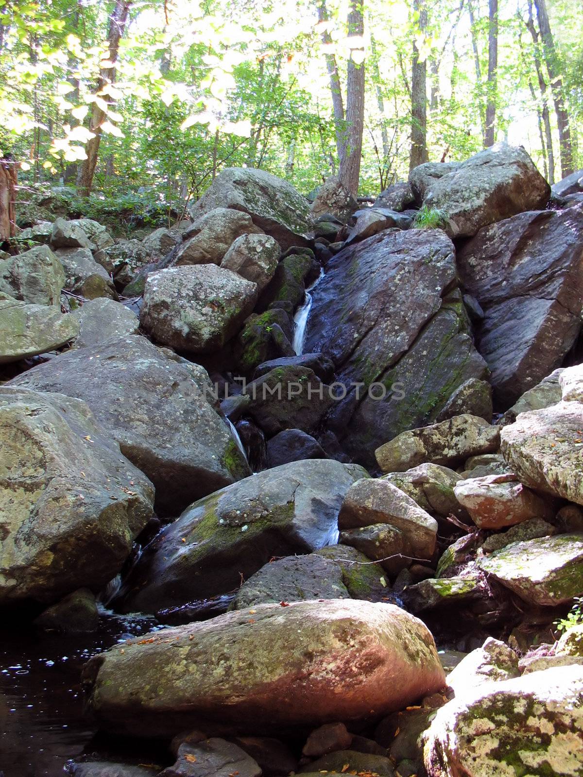 A beautiful waterfall in the woods.