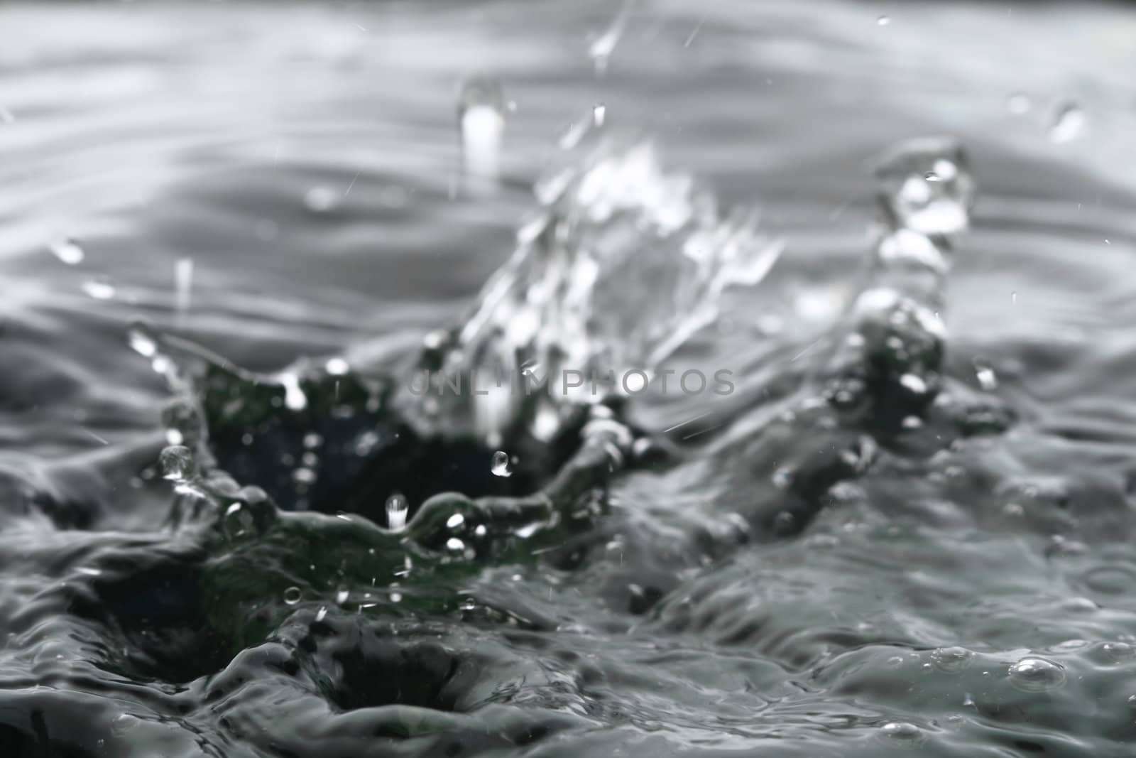 water wet speed splash macro close up