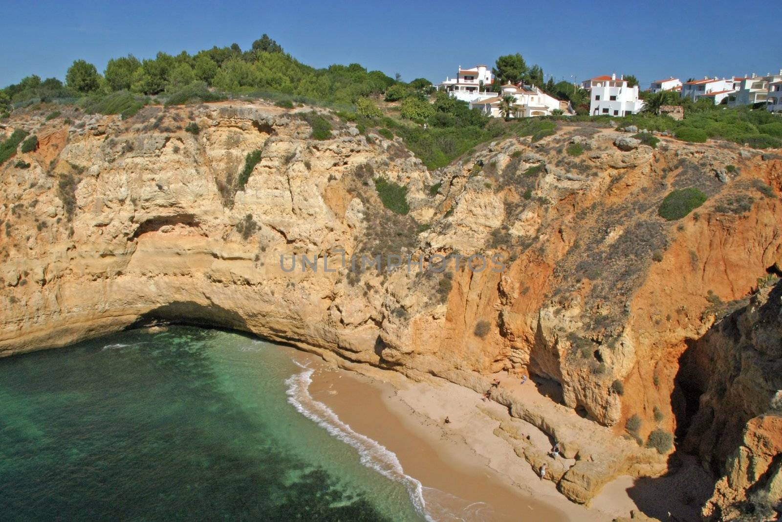 coast in the summer day