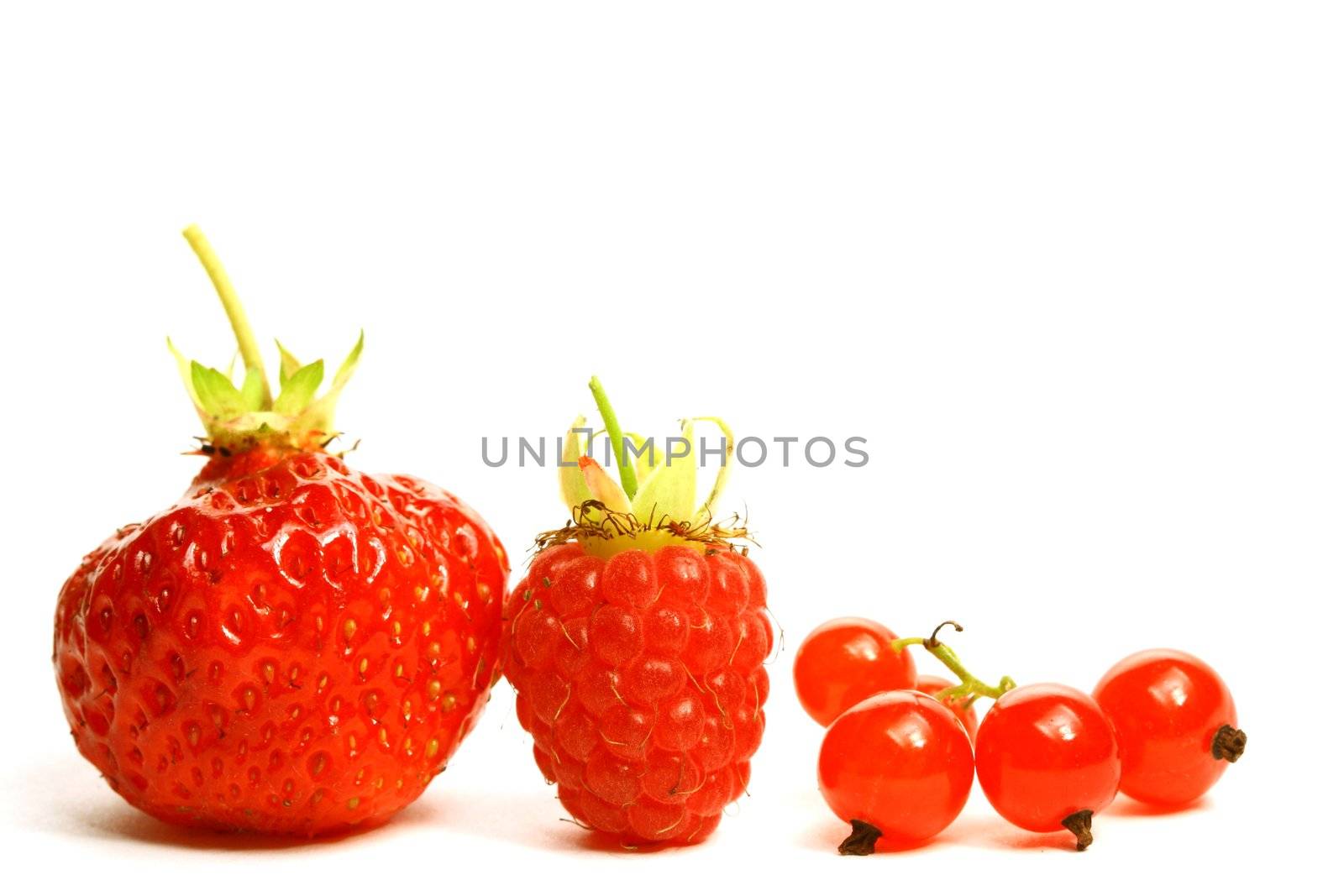 wild berry isolated on white background