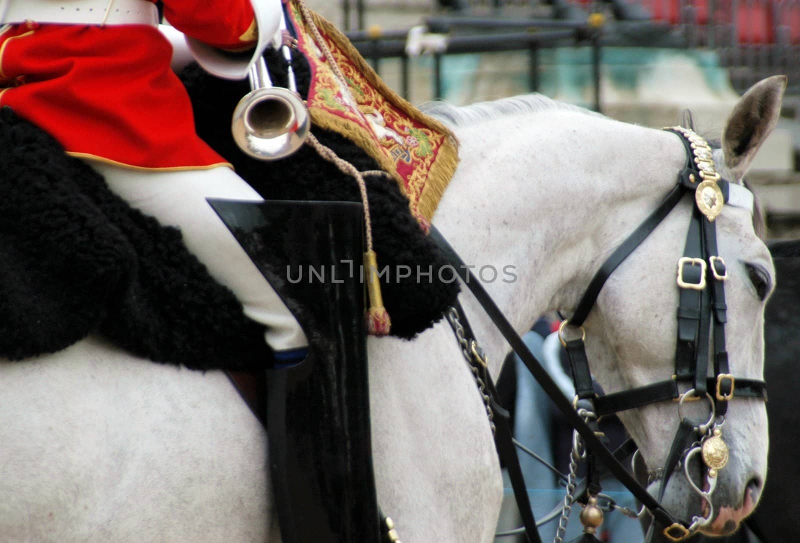 London guard on horse