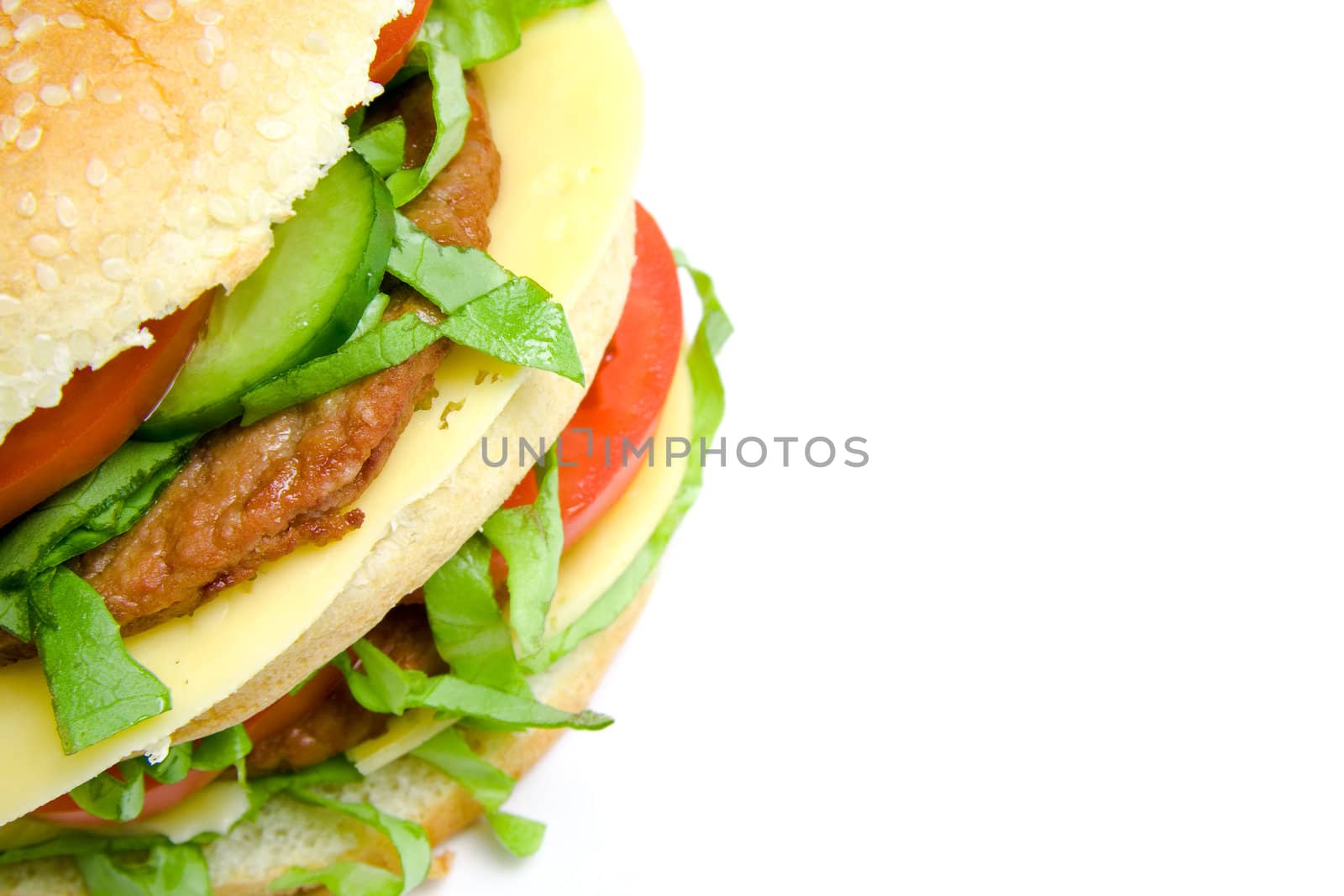 Tasty double hamburger isolated on white background.