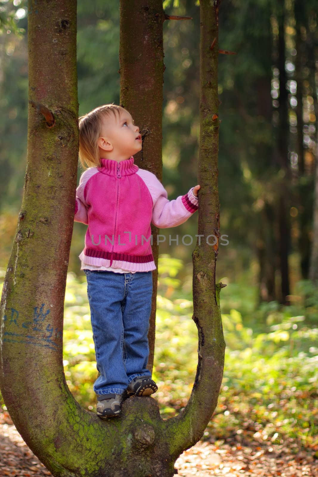 Little beauty girl on tree in the autumn forest look up
