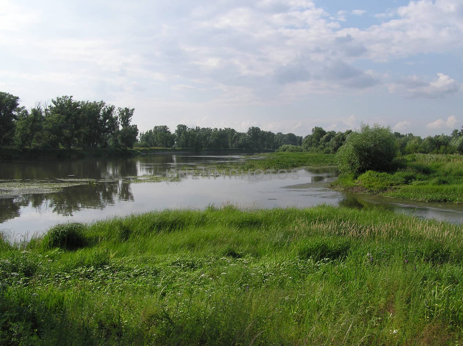 Natural landscape with river, trees and green grass