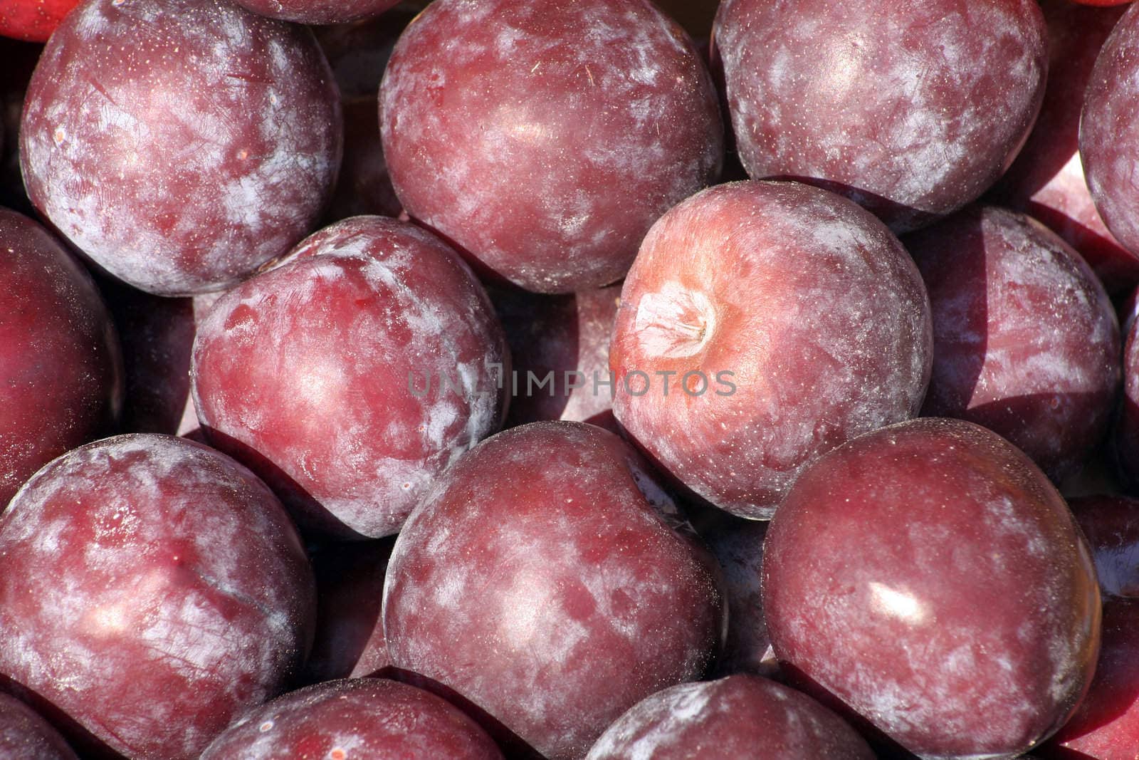 Red plums displayed on a market.