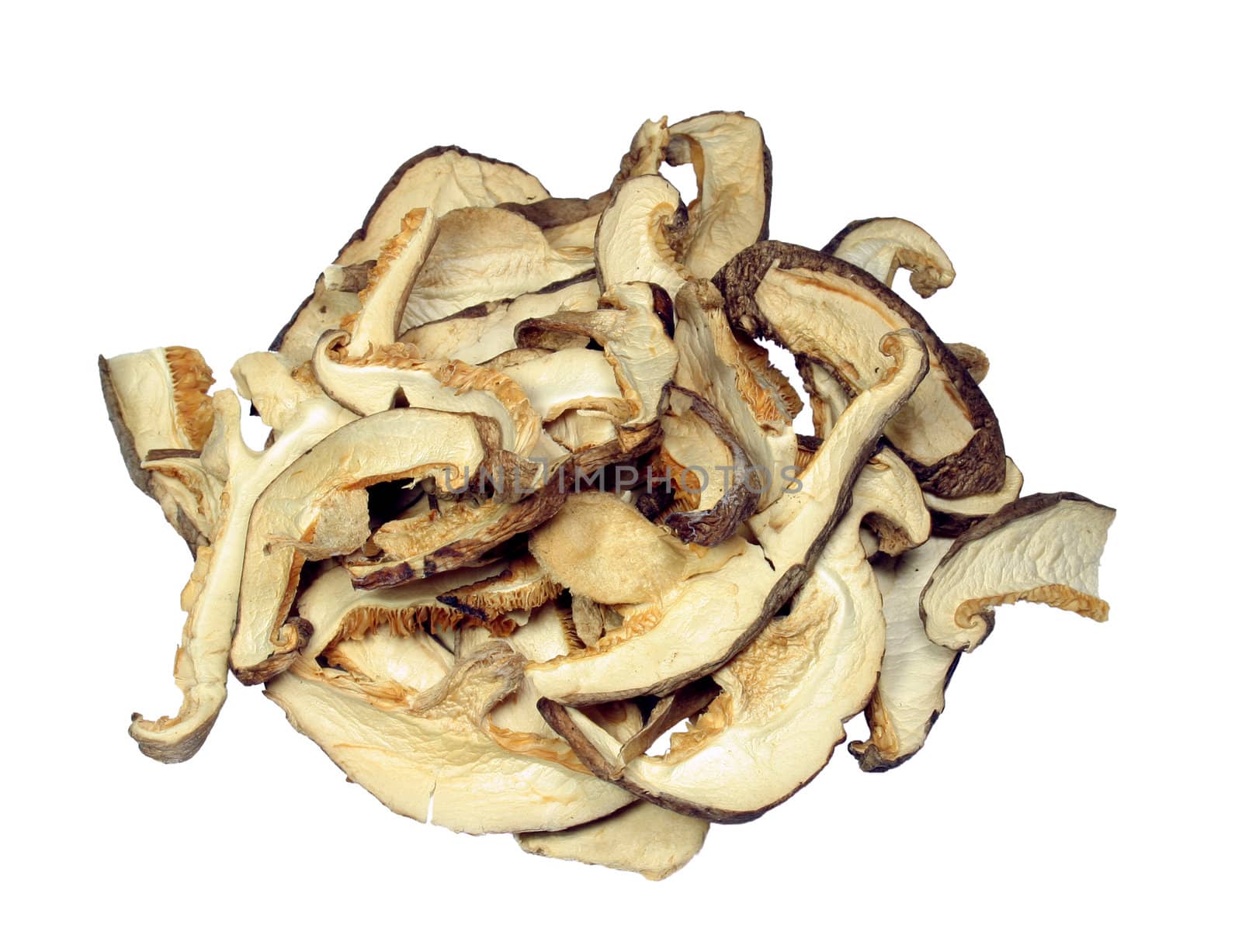 Dried sliced Shiitake mushrooms, fully isolated on white.