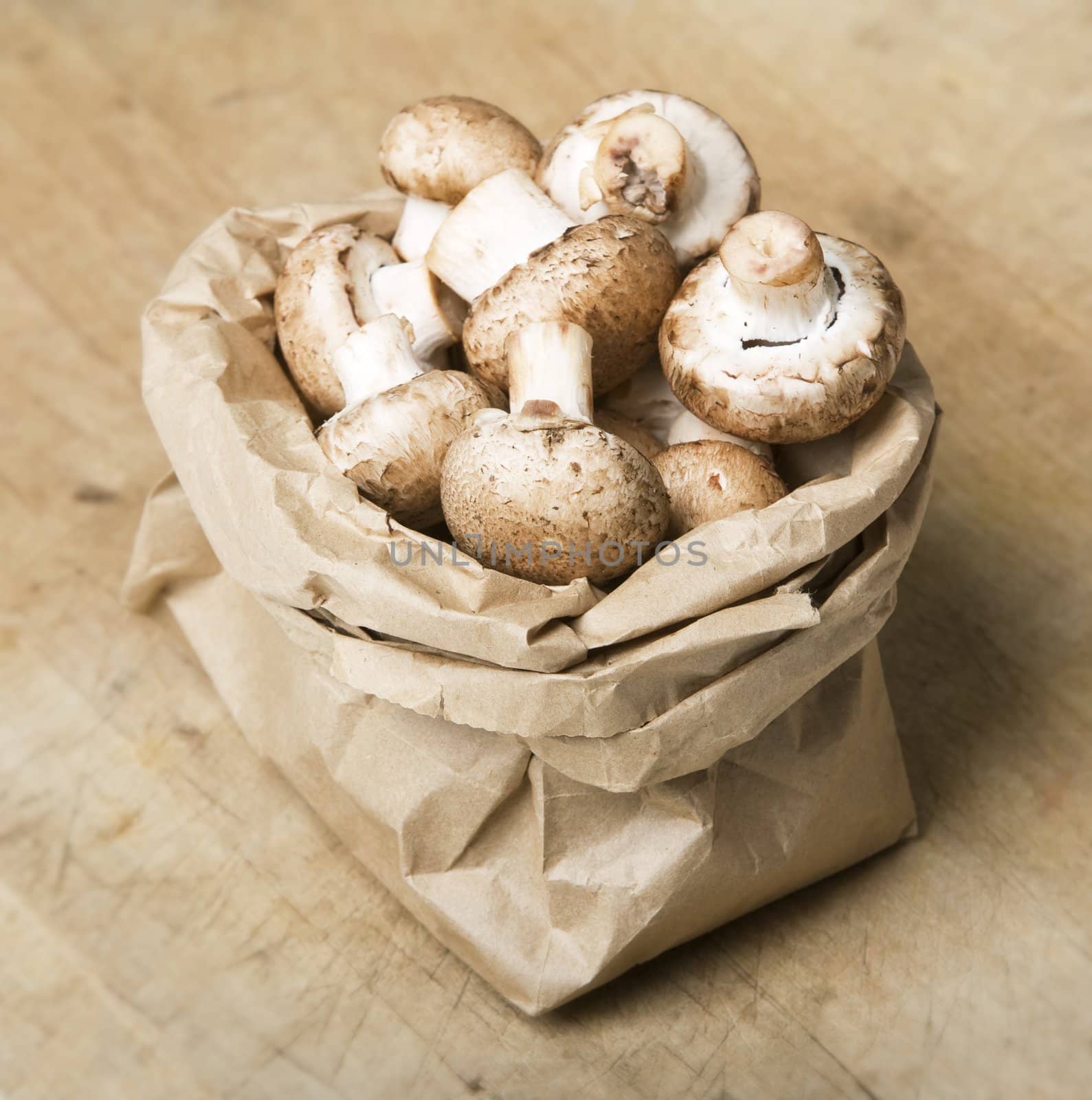 Mushrooms in a Paper Bag