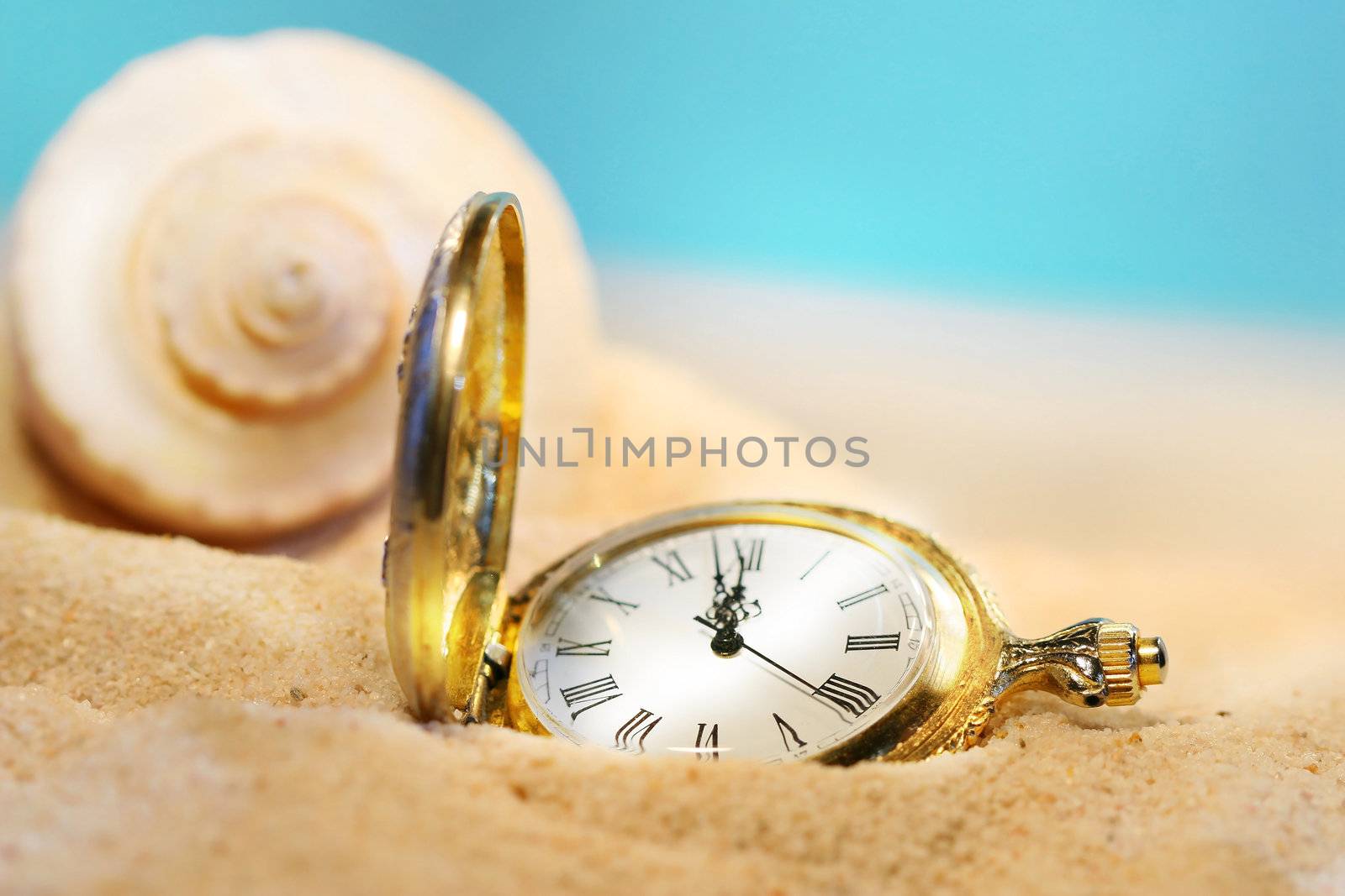 Watch lost in the sand with seashell behind