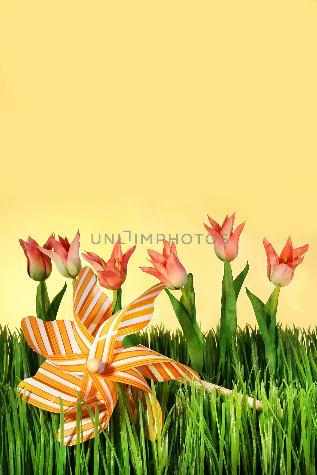 Pink spring tulips with pinwheel in the grass
