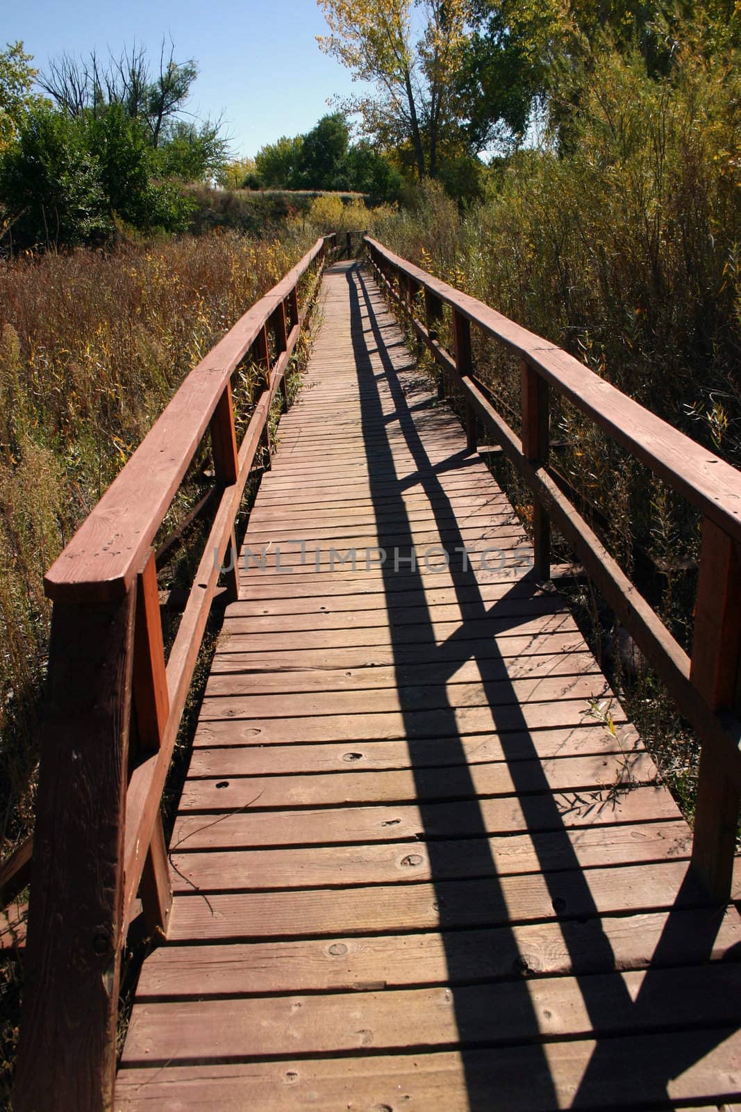 Wooden pedestrian bridge over marshy area on the Riverwalk