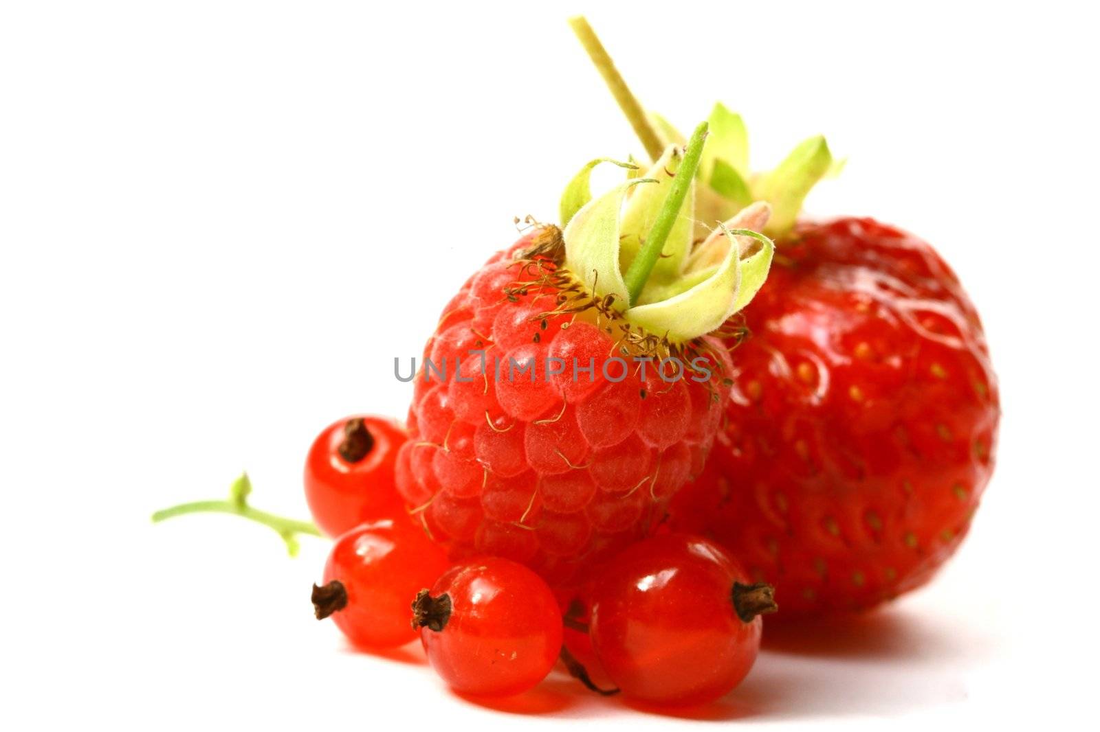 wild berry isolated on white background