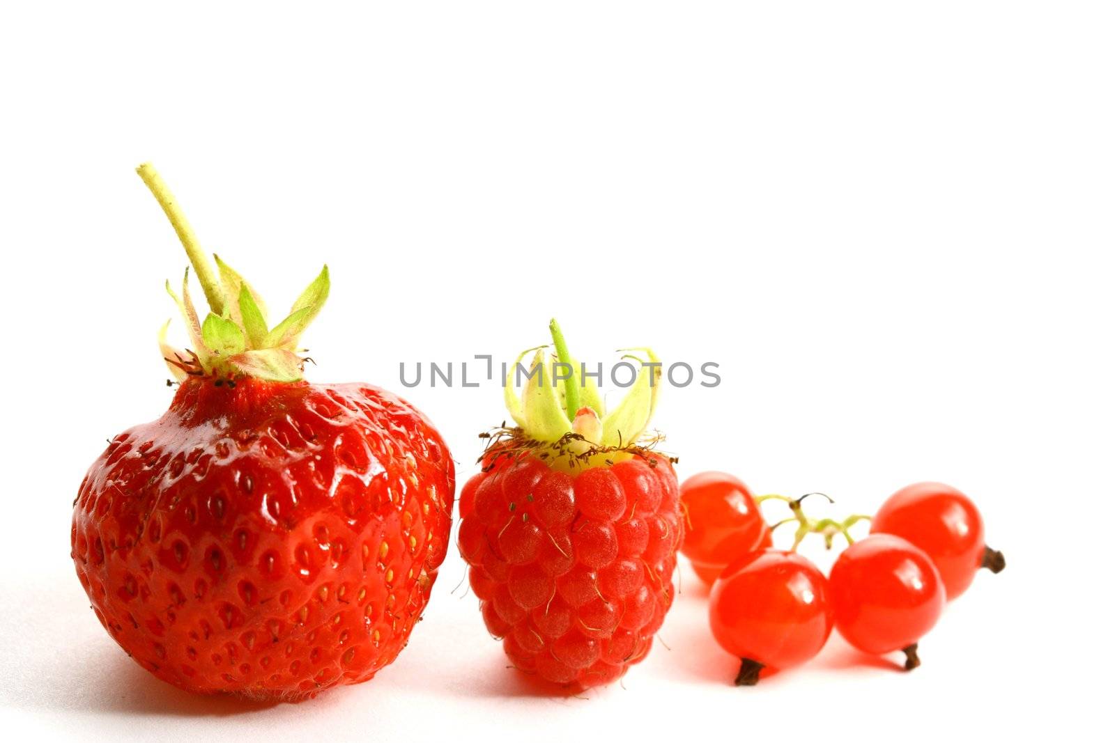 wild berry isolated on white background