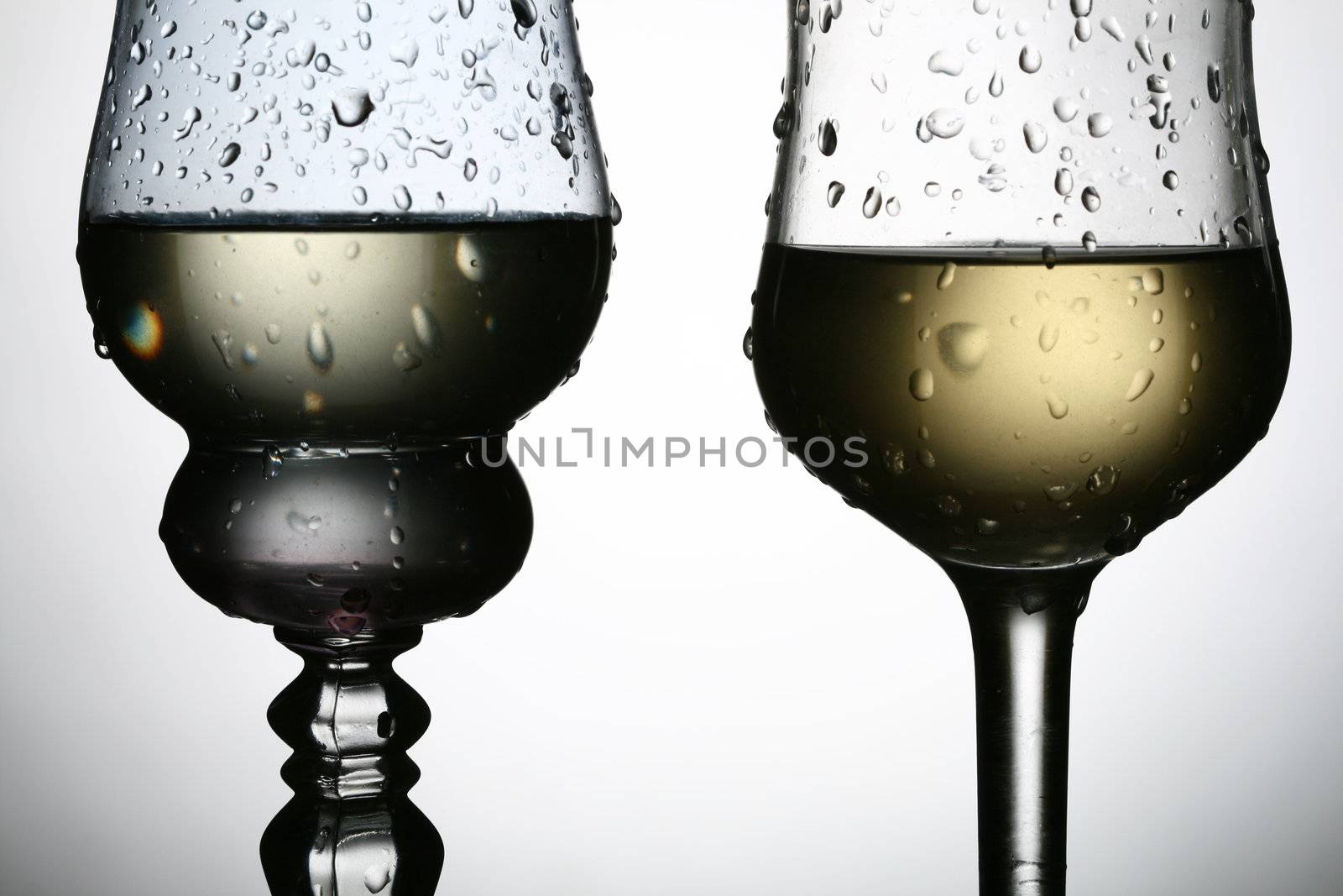 wine glass by Yellowj