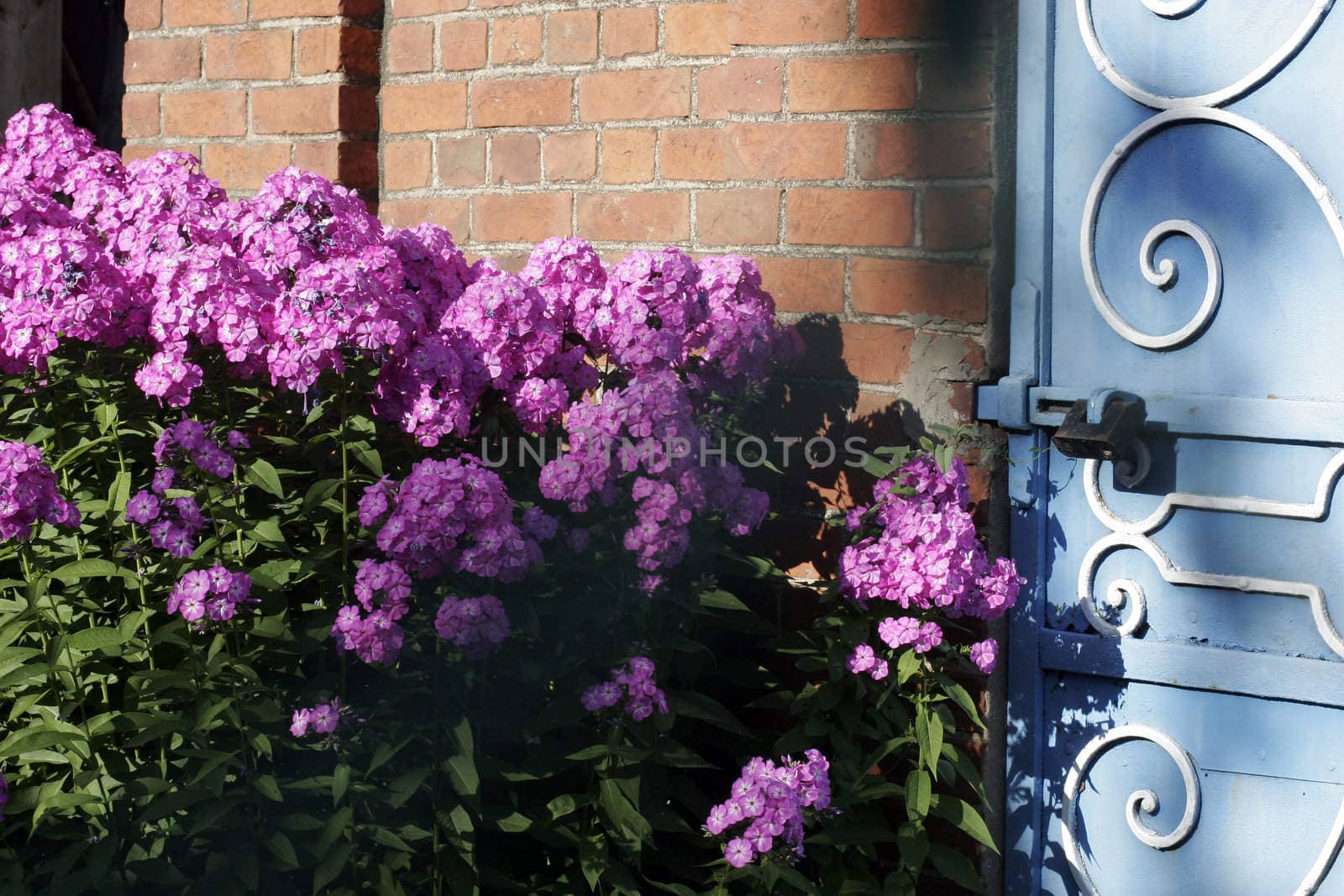 The Brick wall and door of the old barn with colour. 