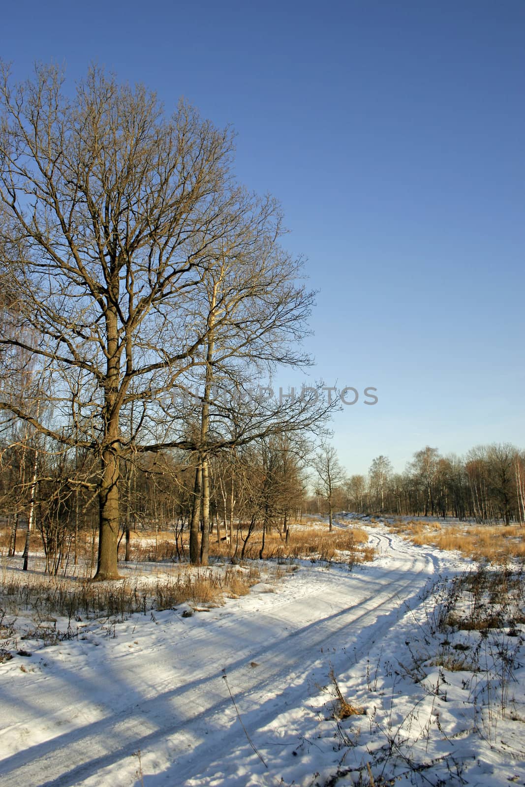 winter snow landscape with sinuous expensive