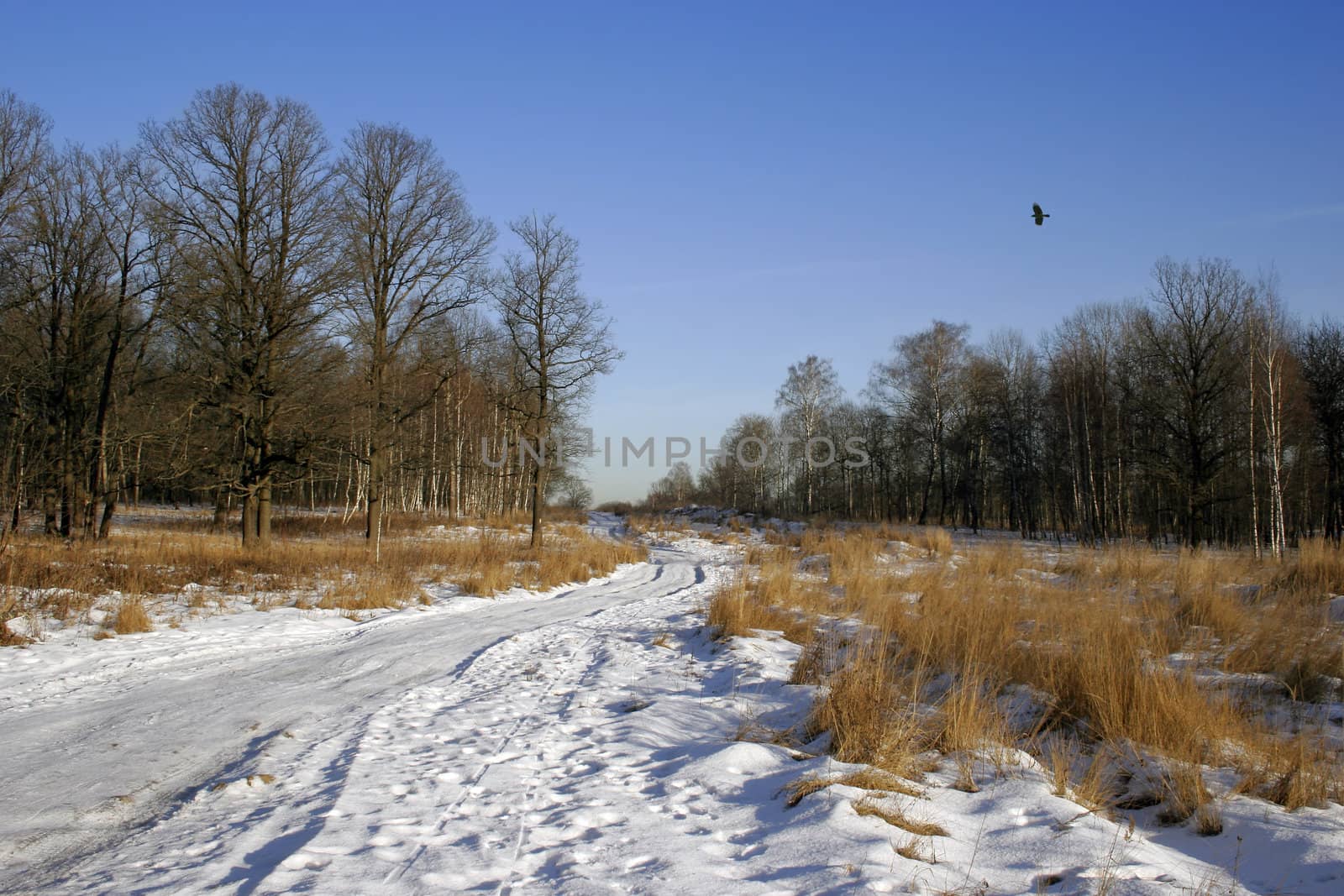 winter snow landscape with curves road in Russia.