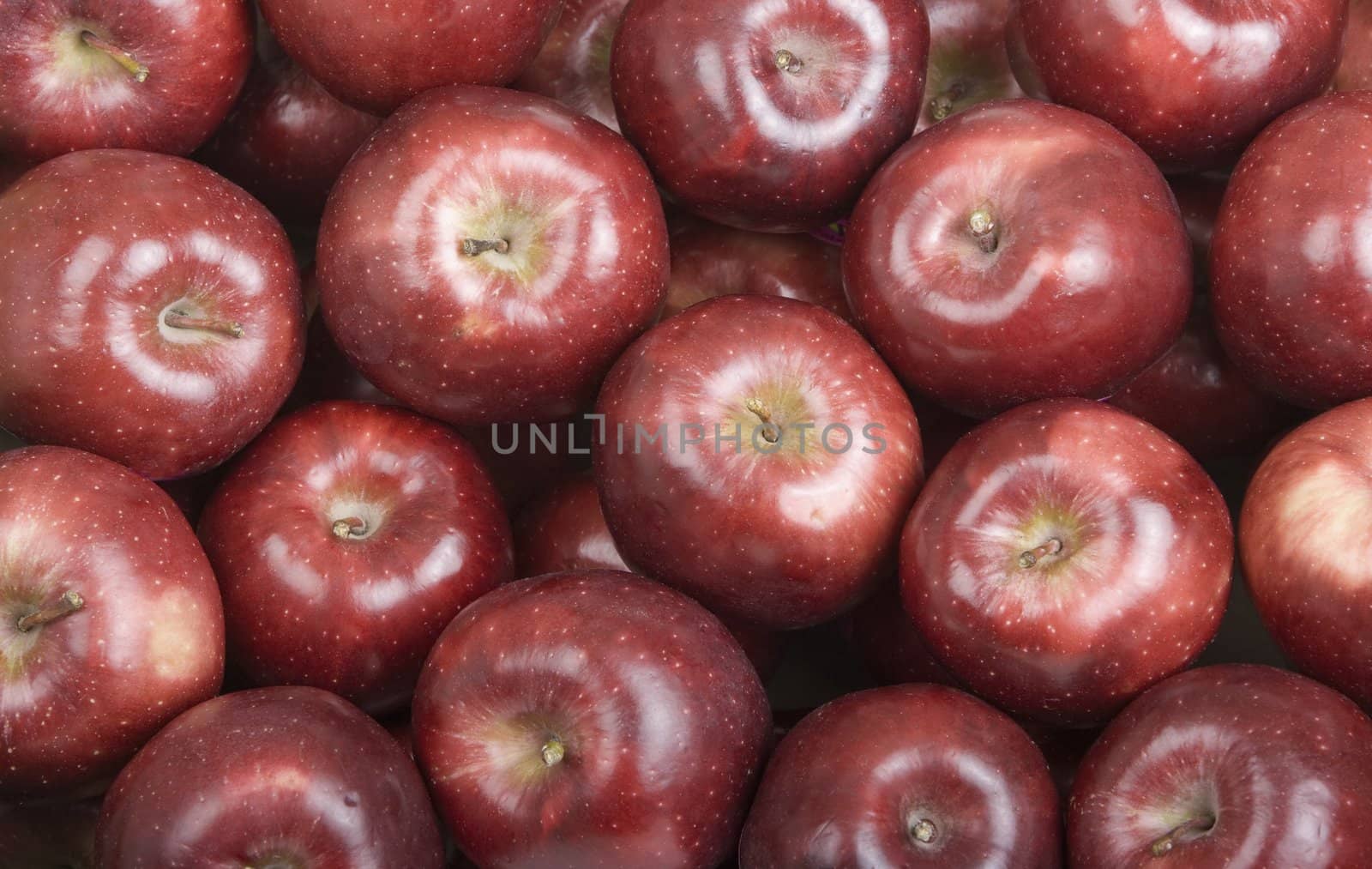 Deep Red Fresh Picked Organic Apples by Creatista