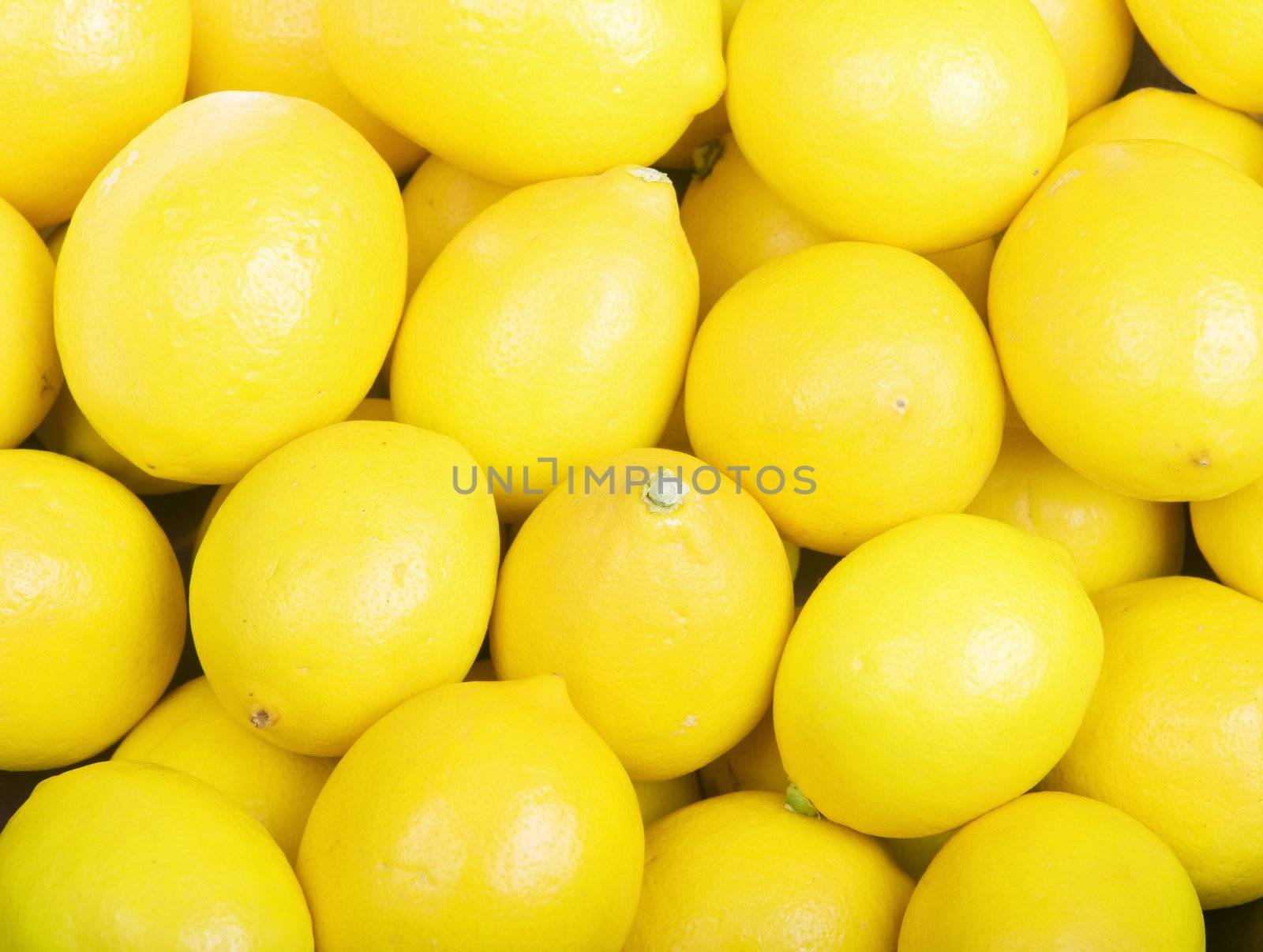 Yellow Organic Lemons Fill the Frame