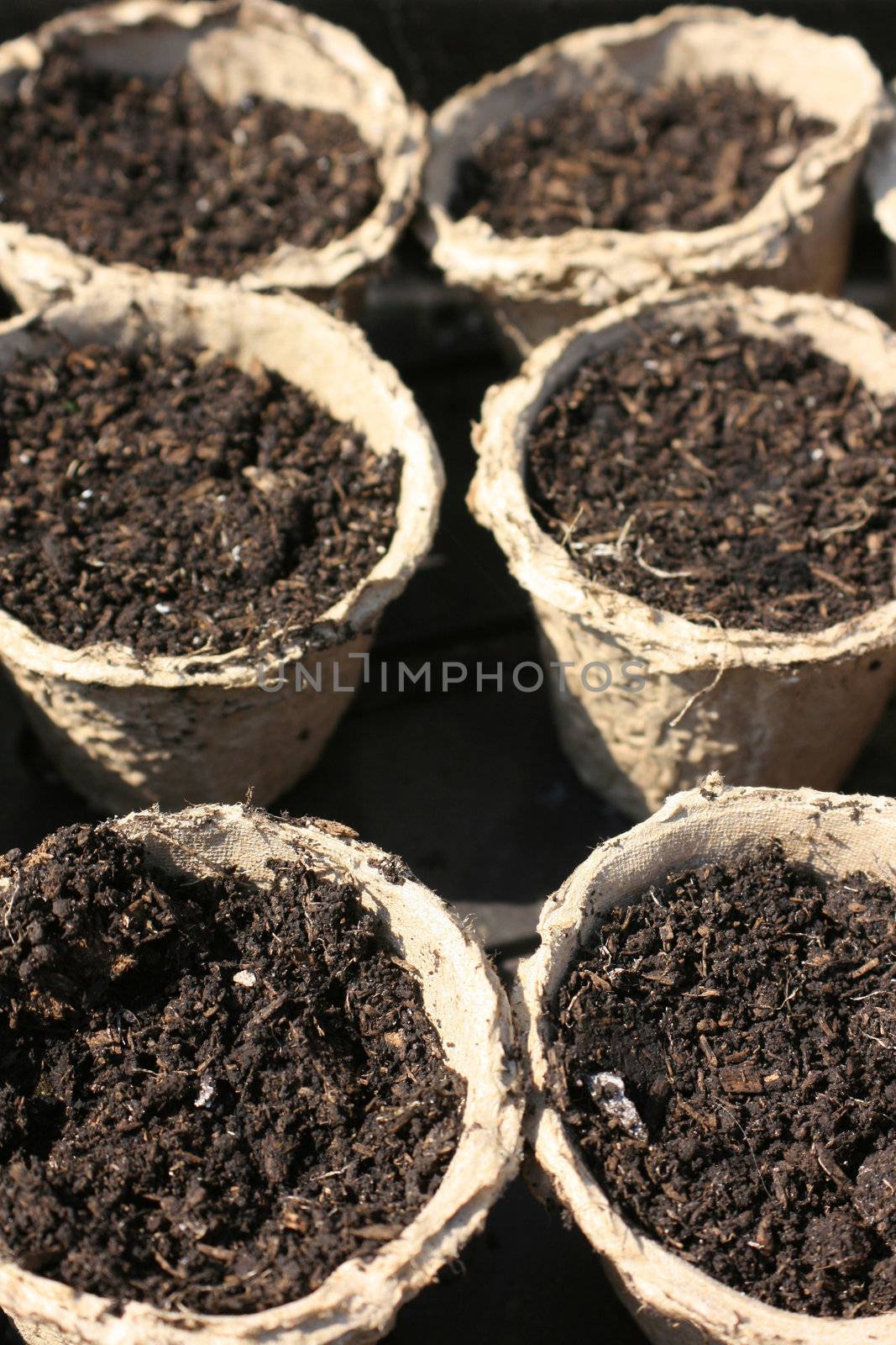 Detail of a set of recycled paper plant/seedling pots with compost inside, ready for planting seeds.