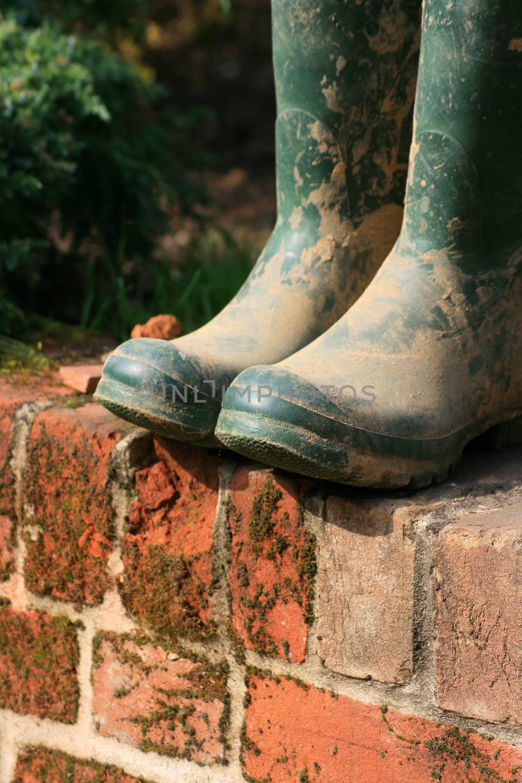 A pair of green muddy wellington/garden boots set atop a red bricked garden wall.