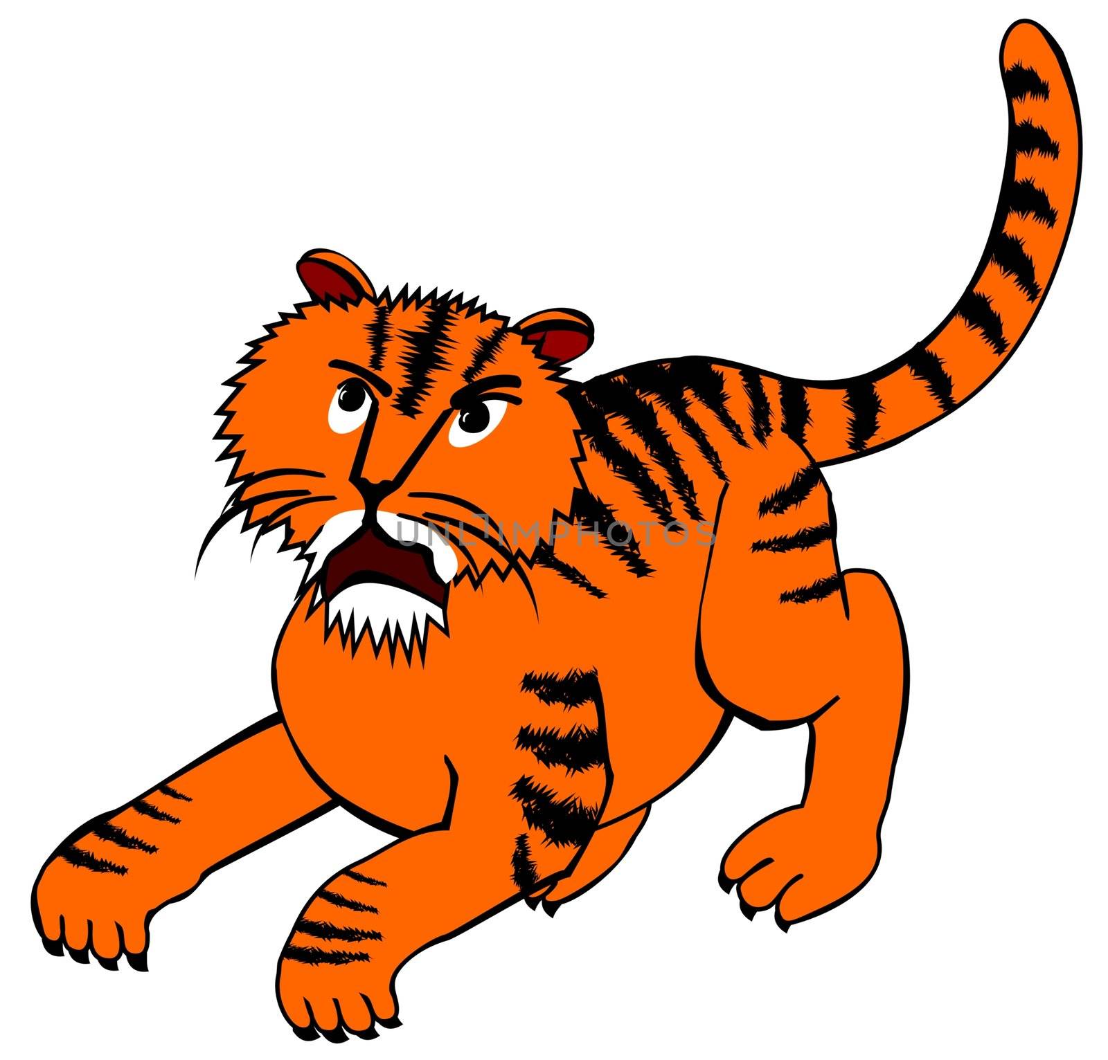 illustration of an angry tiger ready for jumping