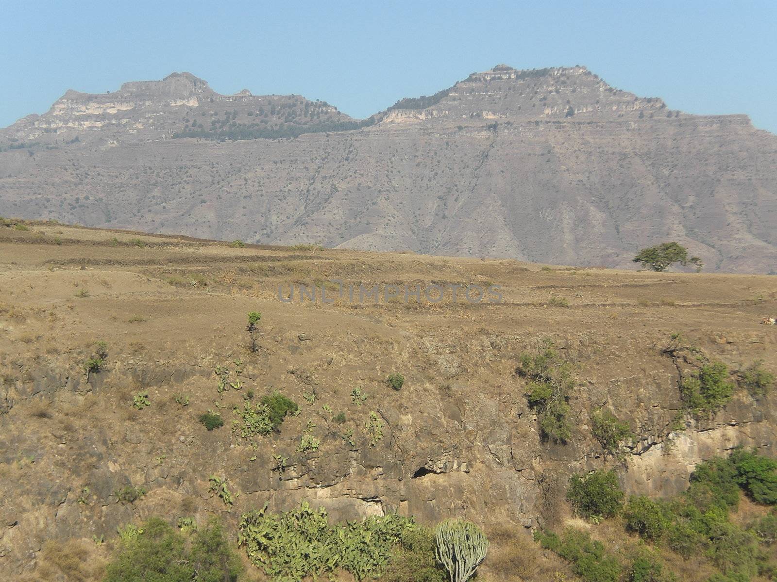 ethiopian landscape by viviolsen
