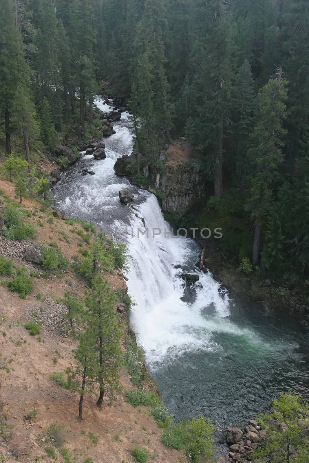 Shasta Lake Cascades by melastmohican