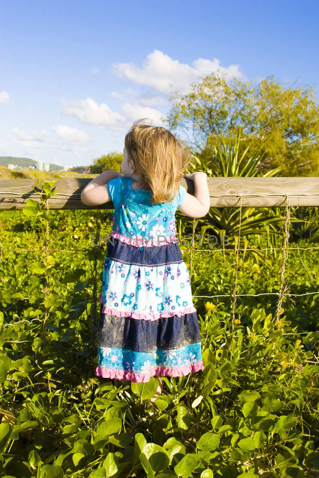 A little girl is climbing up on a fence to look over it