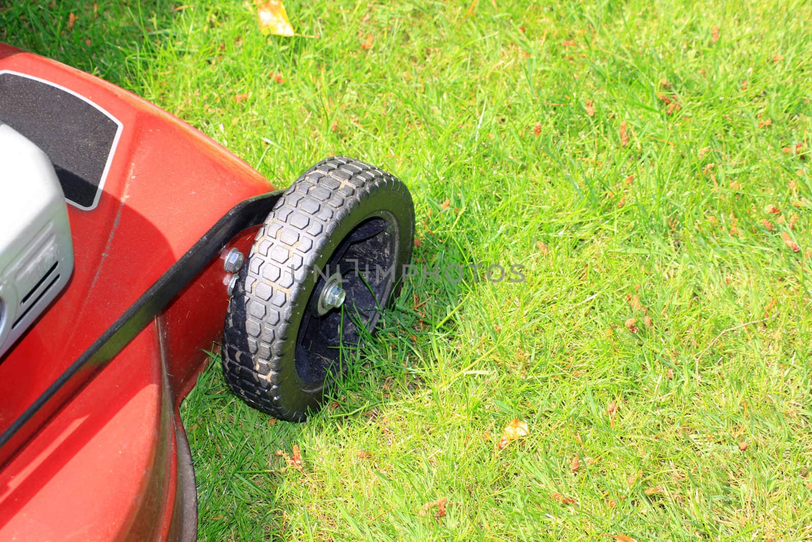 A petrol driven lawn mower with rubber tyres ready to cut a lush green lawn.