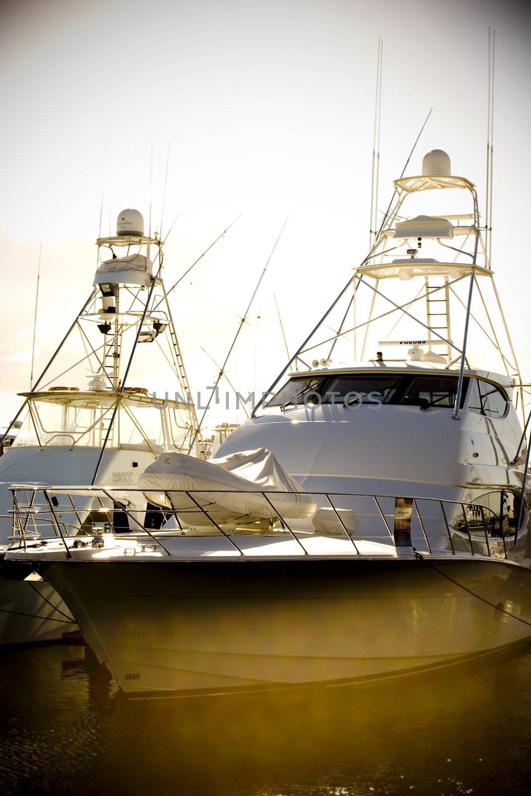 large yacht in the marina