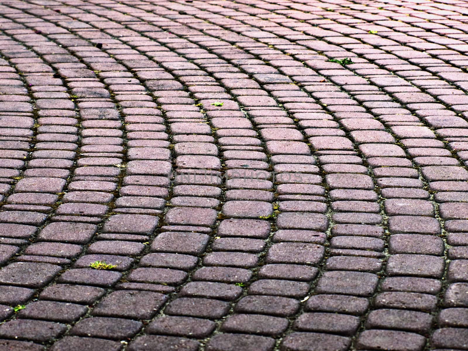 Brick Sidewalk by watamyr