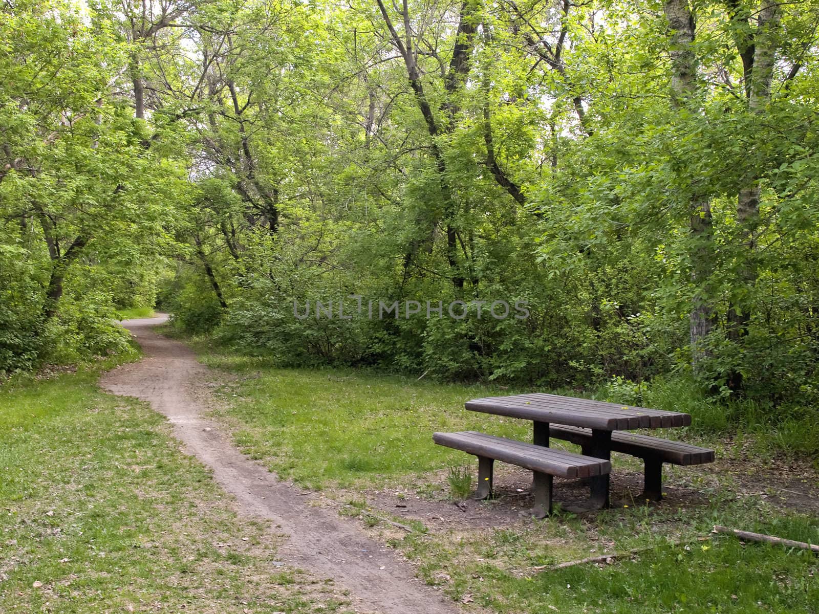 Picnic table along a path in Edmontons river valley.