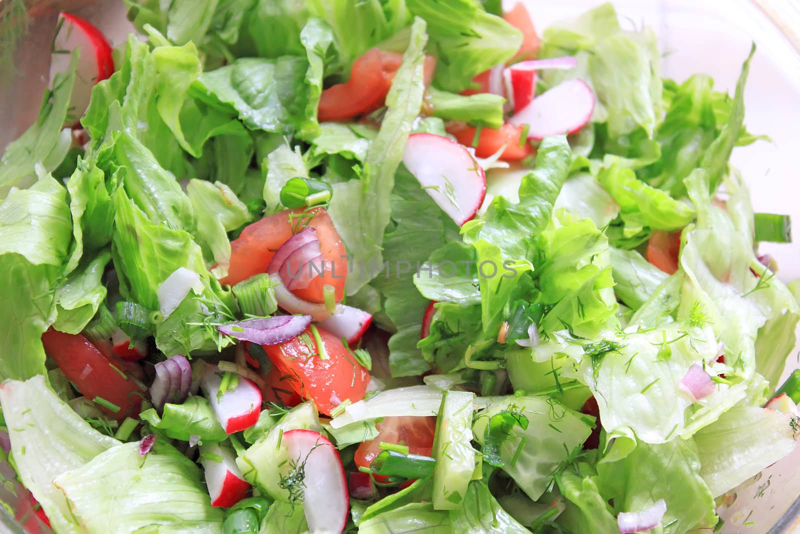 Fresh low fat salad serve to spring dinner