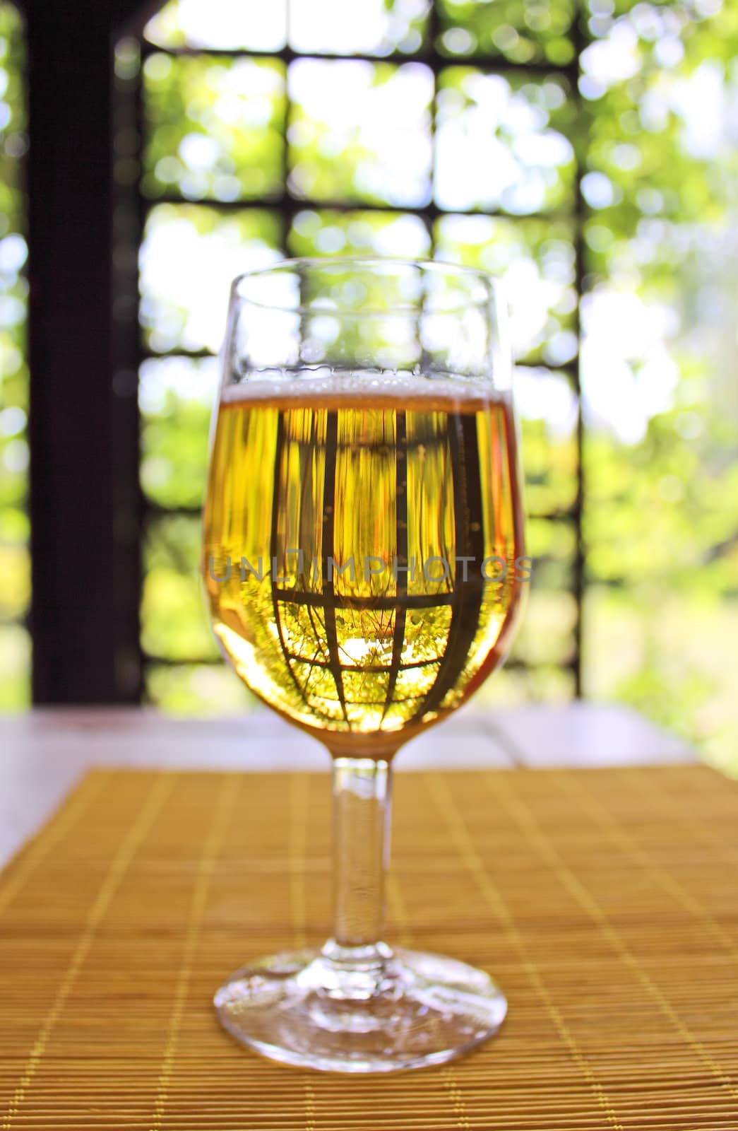 Glass of golden beer by piotrek73