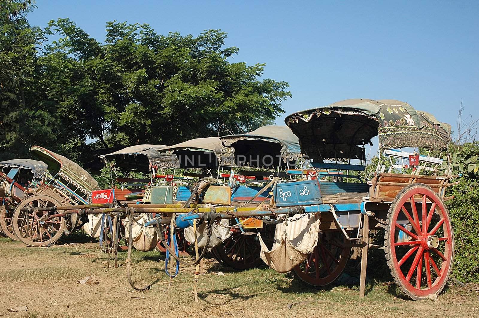 Group of bullock cart parked at the road side