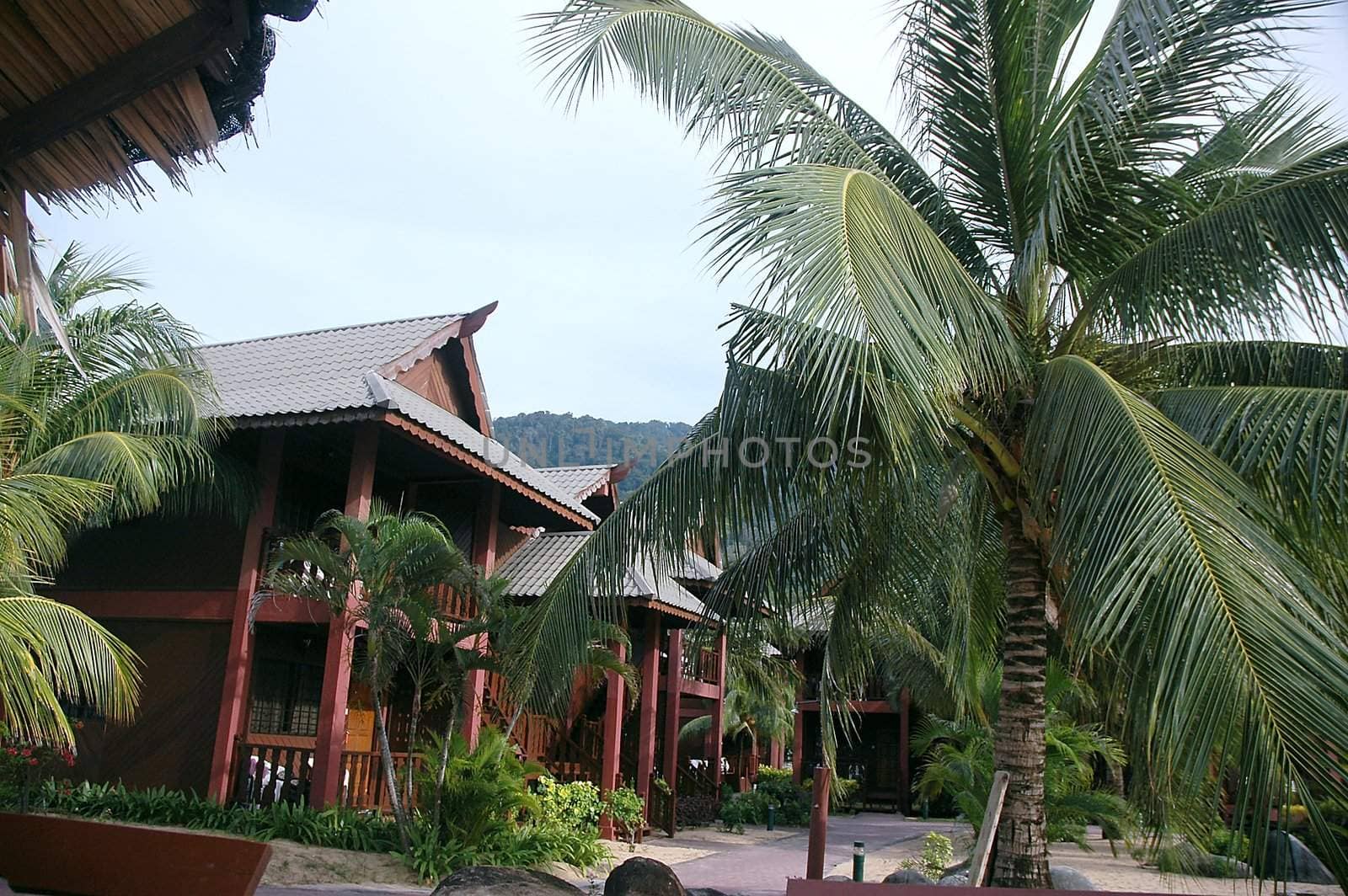 Resort chalets near tropical rainforest 