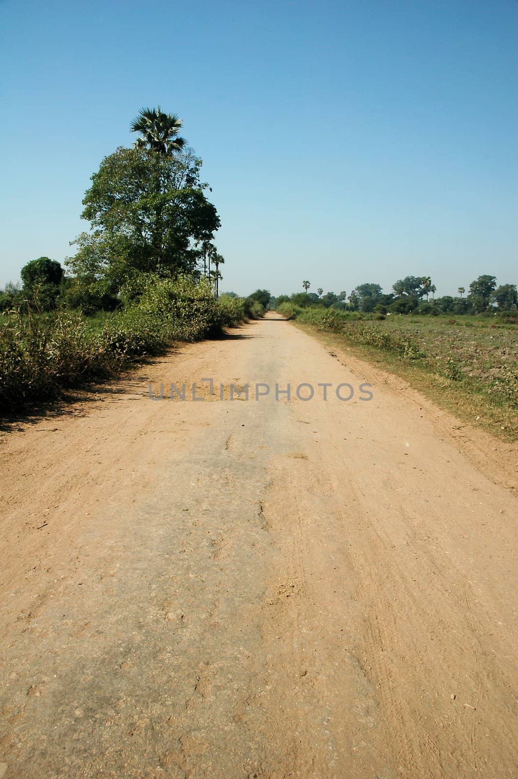 Straight Soil Road by khwi