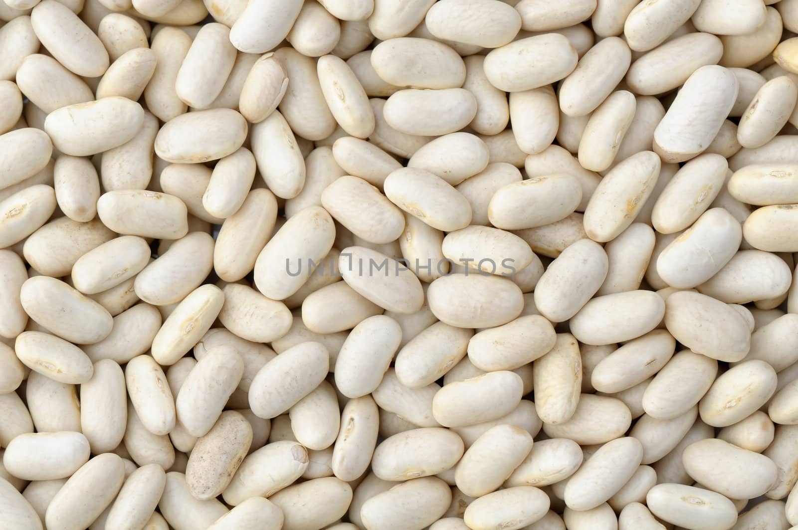 White beans background by Hbak