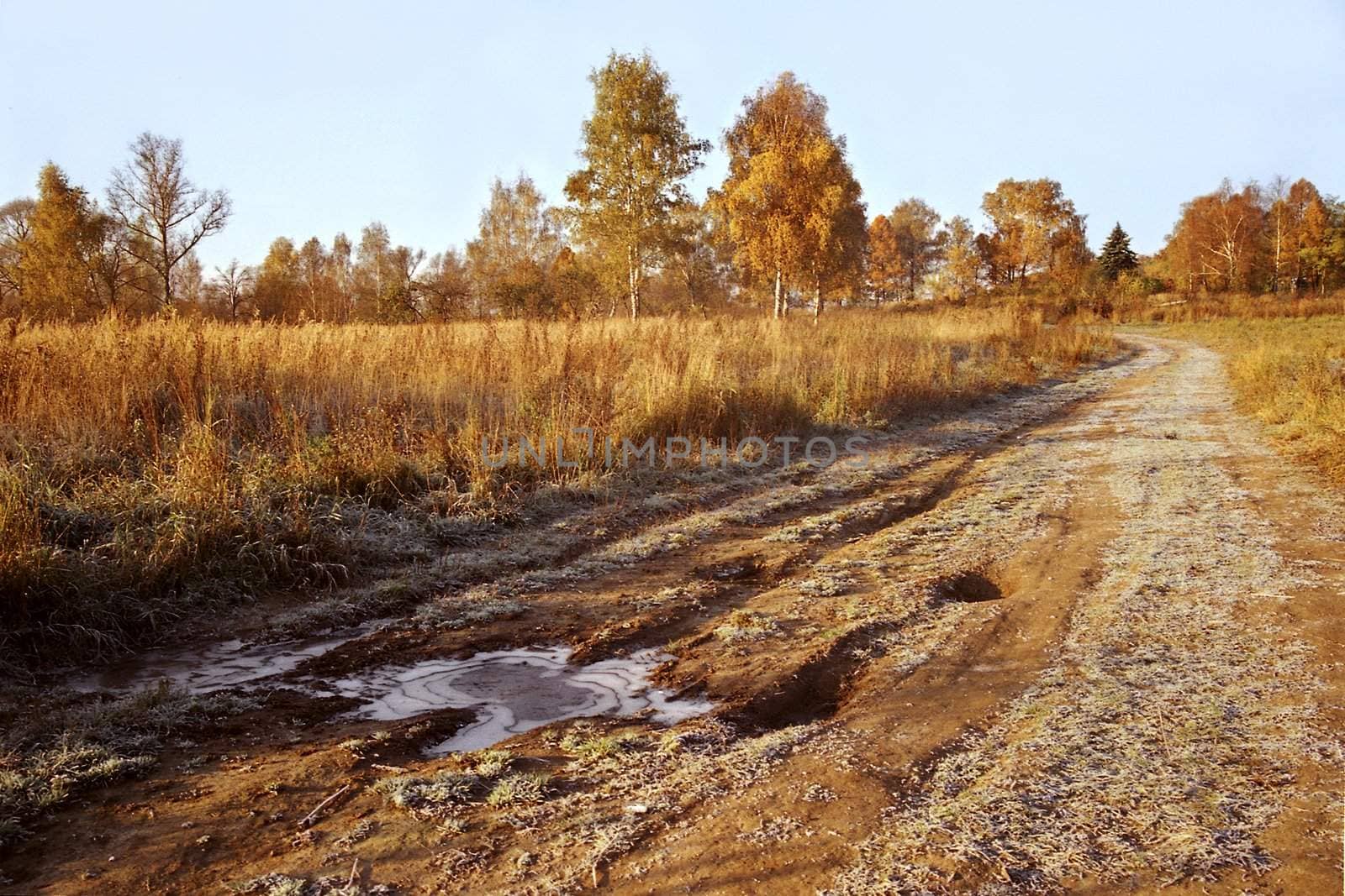 Autumn landscape in wood with yellow trees and frosted puddle