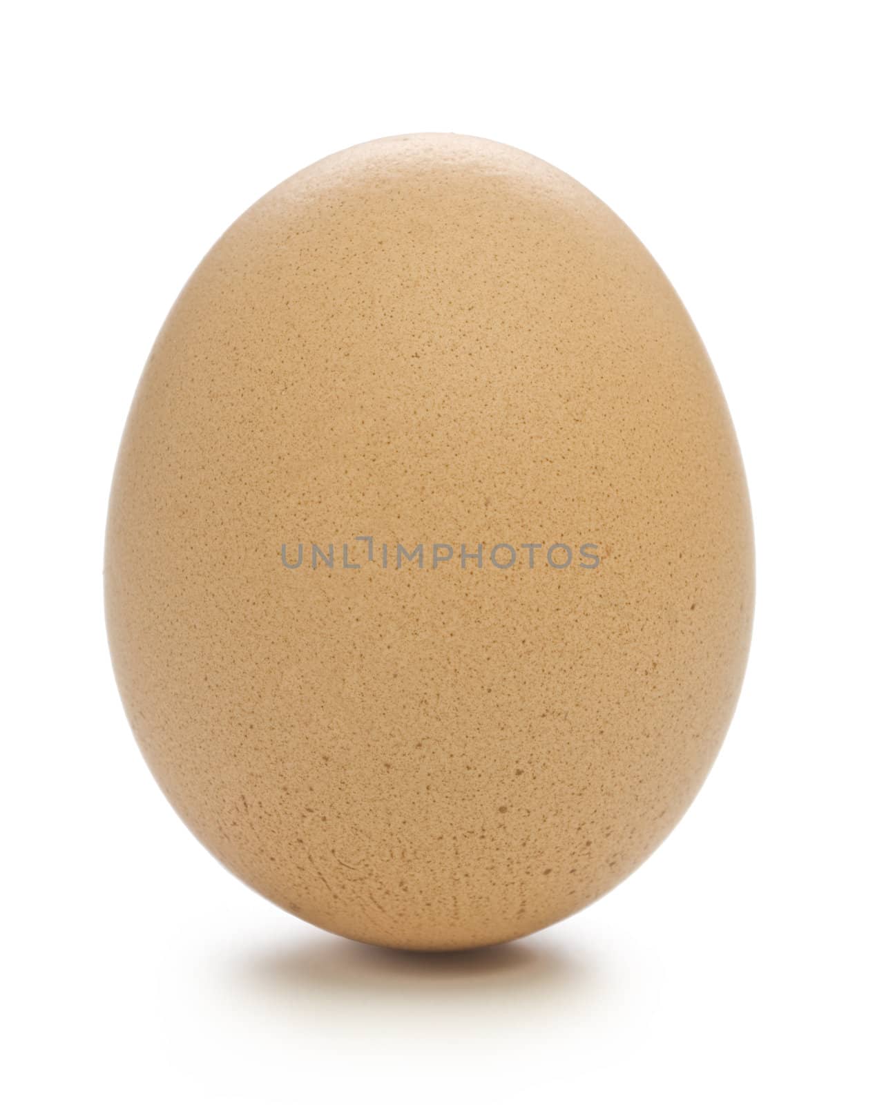 Single standing  Beige Egg on clear white  background.