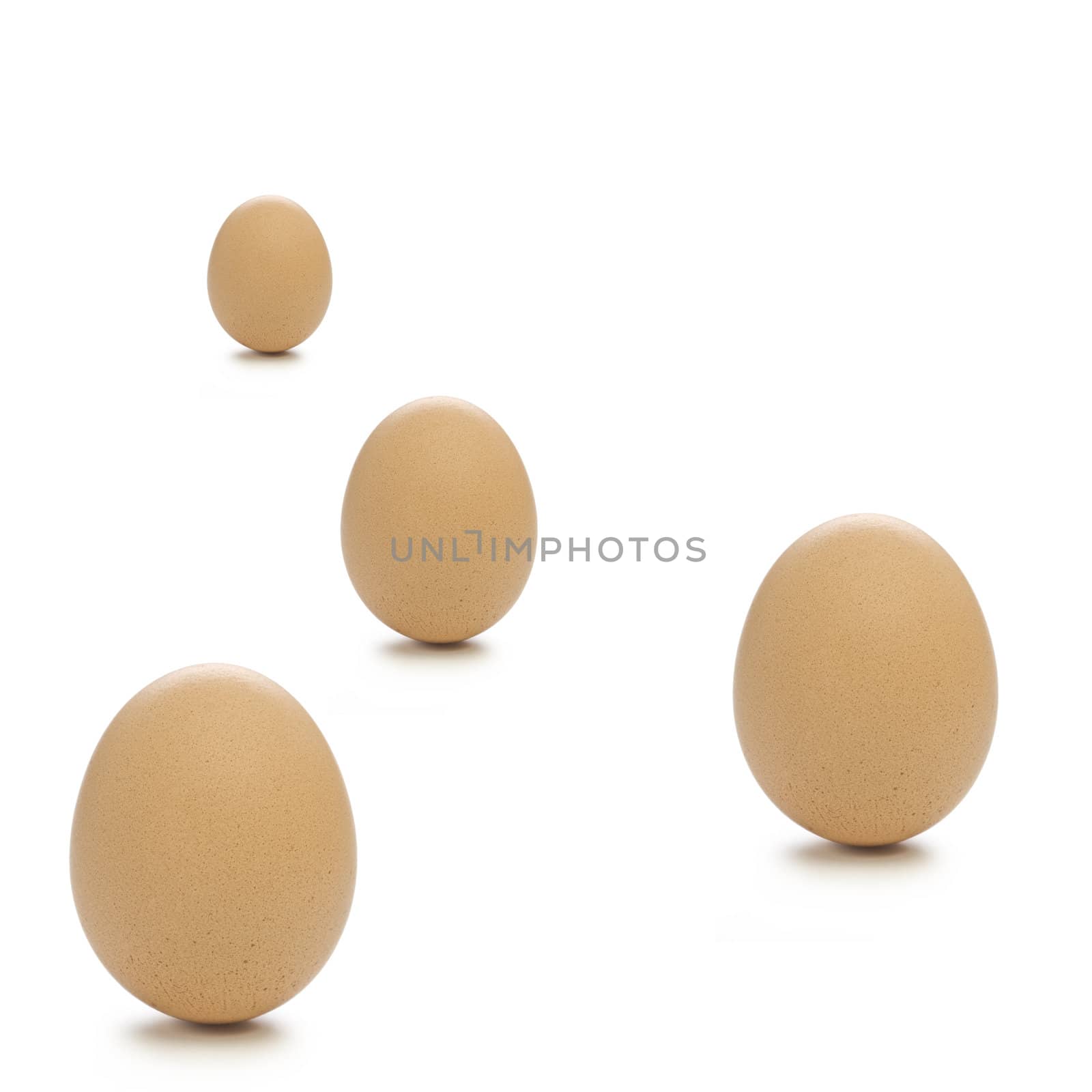 Four standing  Beige Eggs with clear white  background.
