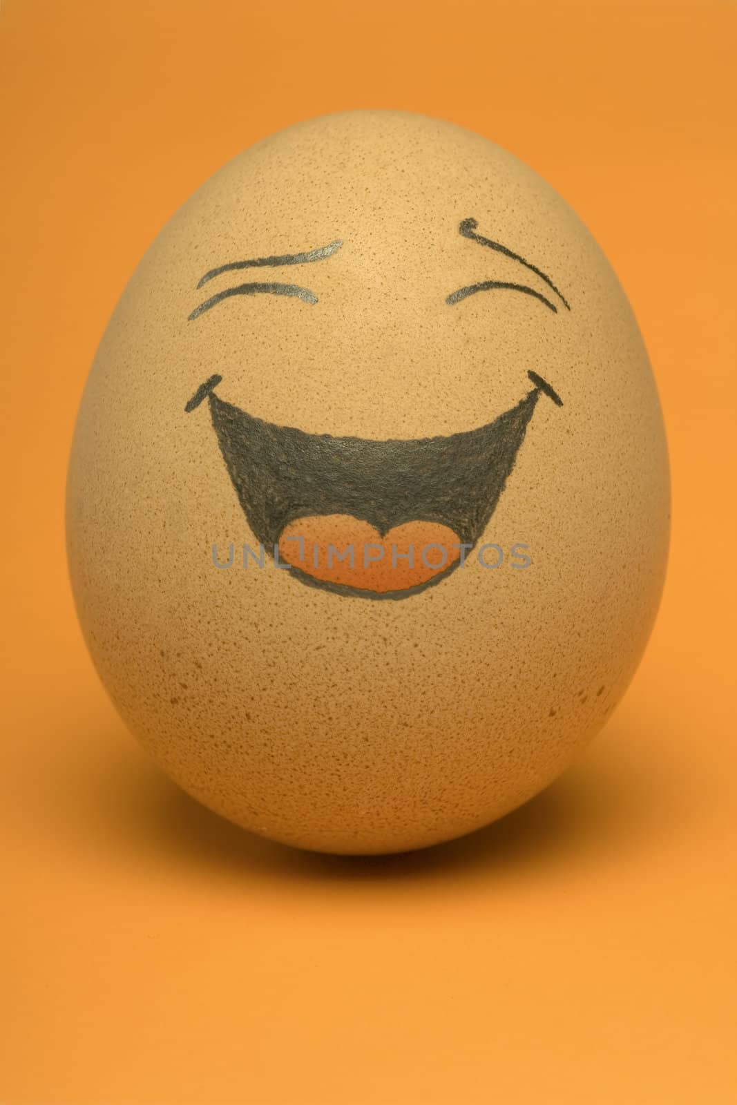 Single, Smiling comical Egg with orange background.