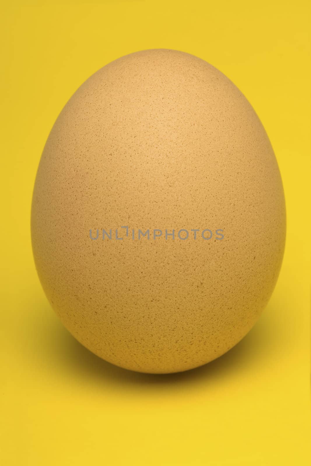 Single, Beige Egg with warm yellow background.