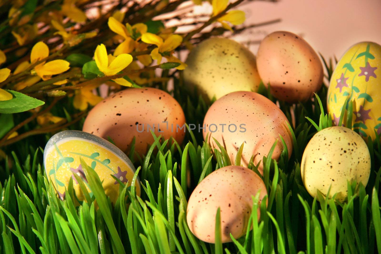 Colorful easter eggs in the green grass 
