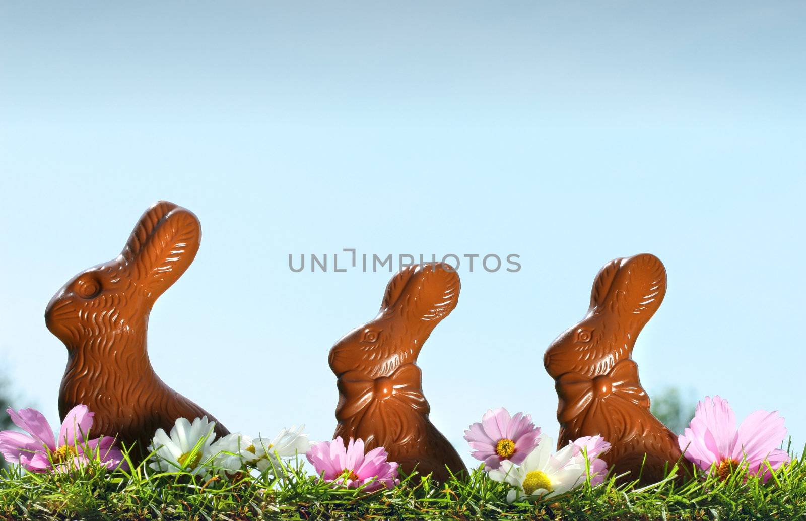 Chocolate rabbits in the grass with flowers
