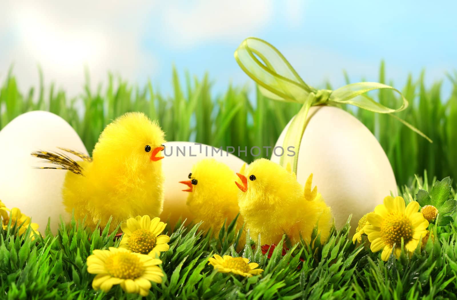 Little yellow easter chicks in the tall grass  by Sandralise