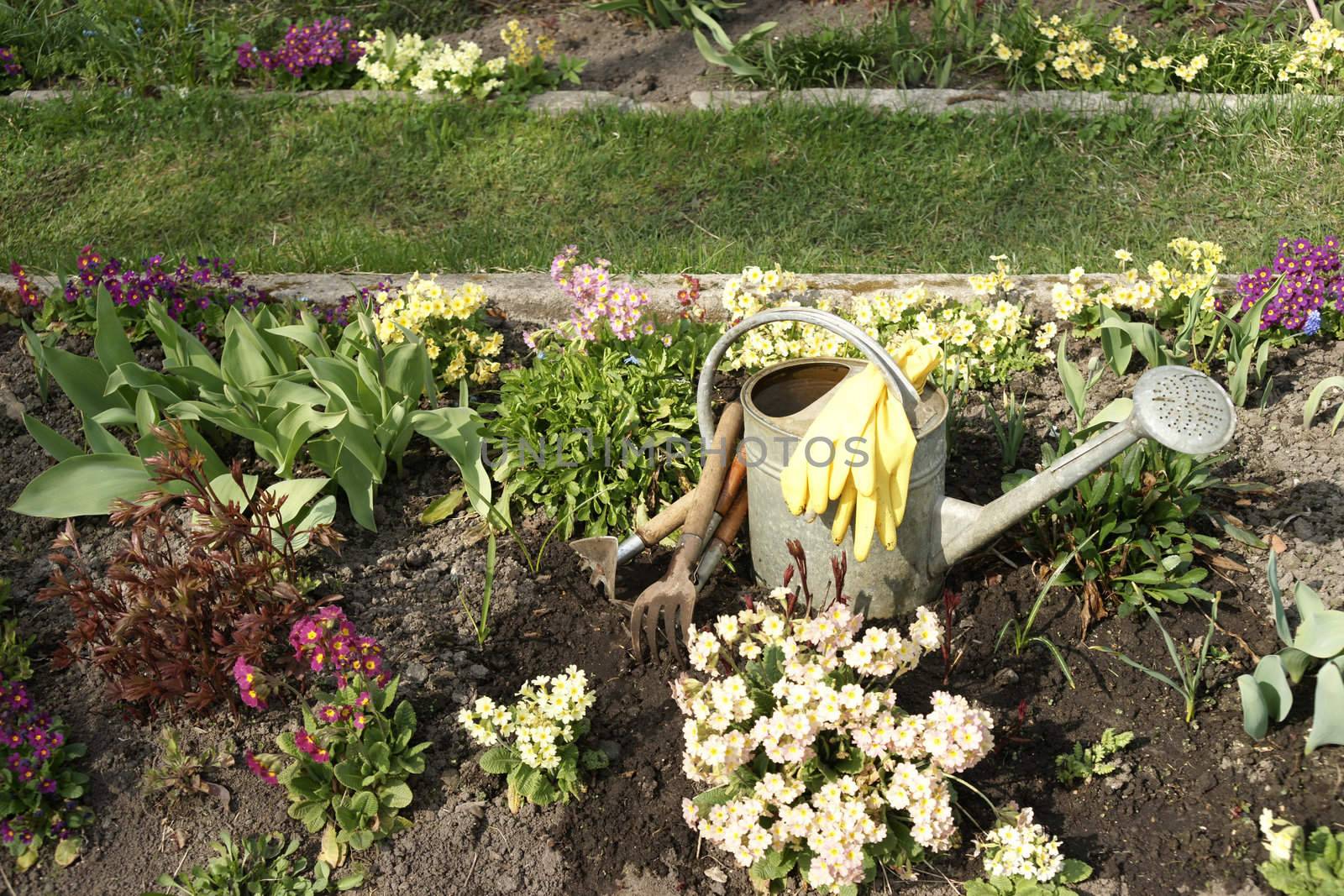 Garden tools among flowering spring parterre