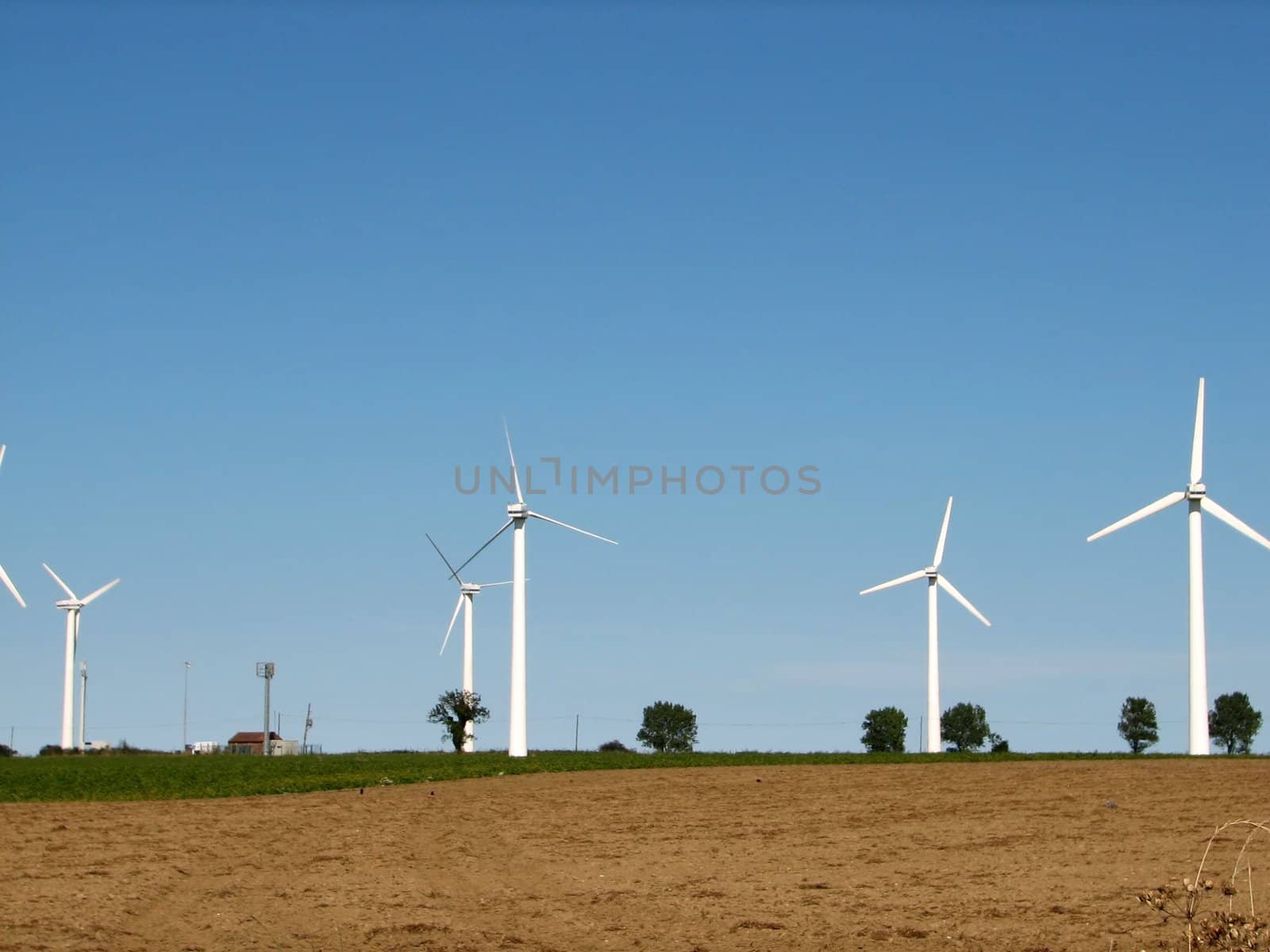 Windmills, Norfolk, England, 2007