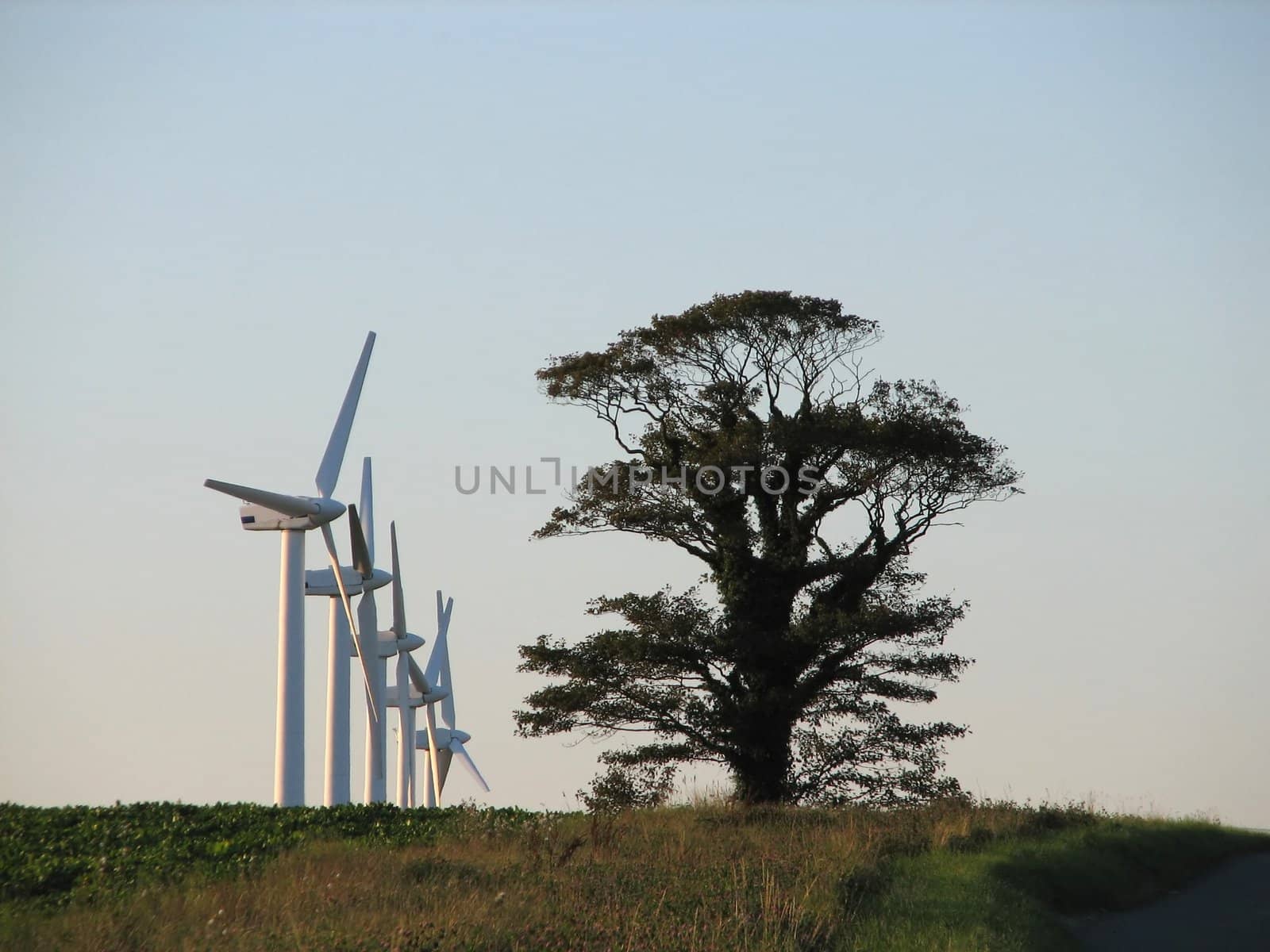 Windmills, Norfolk, England, 2007