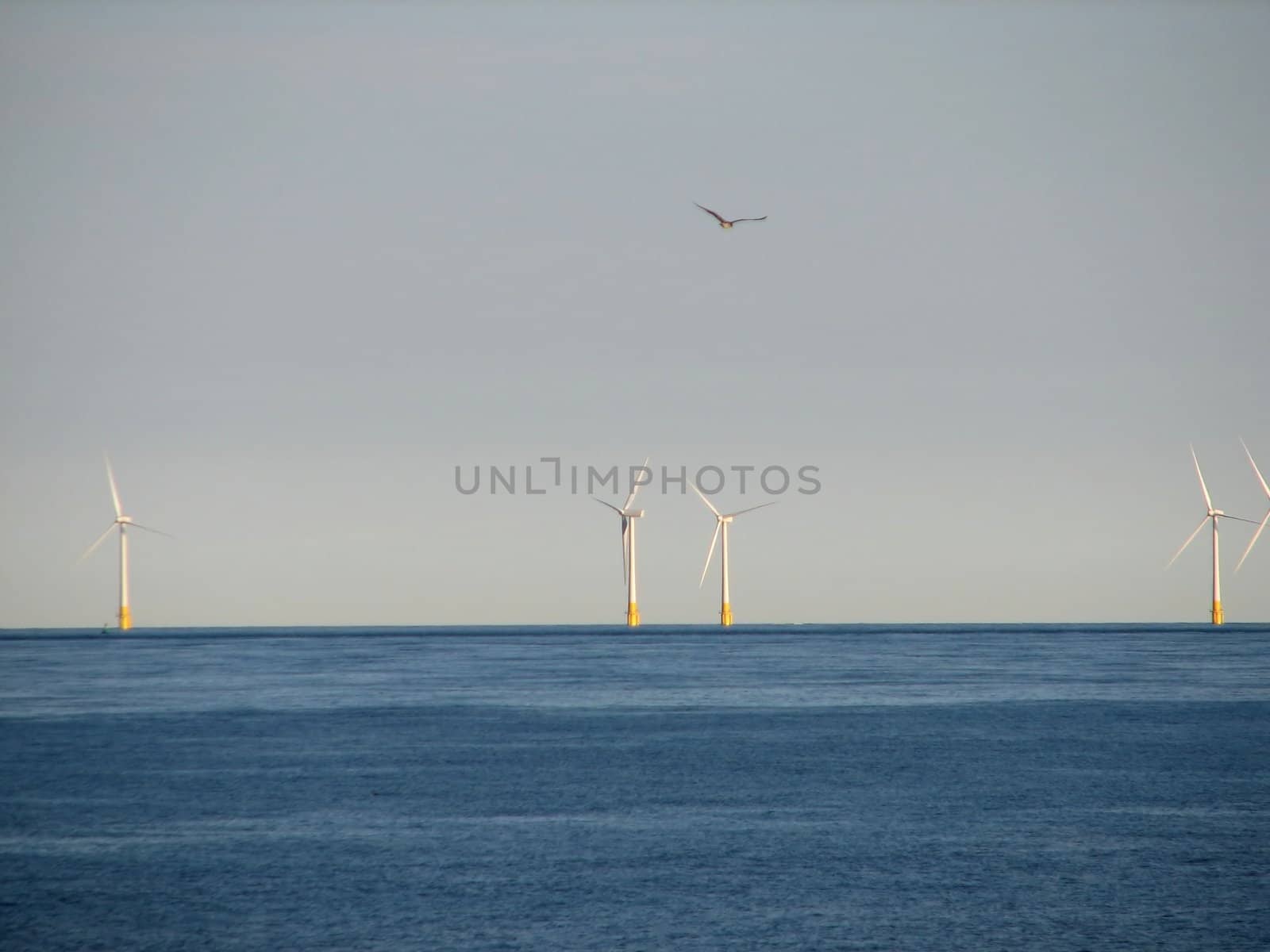 Offshore-Windmills, Norfolk, England, 2008